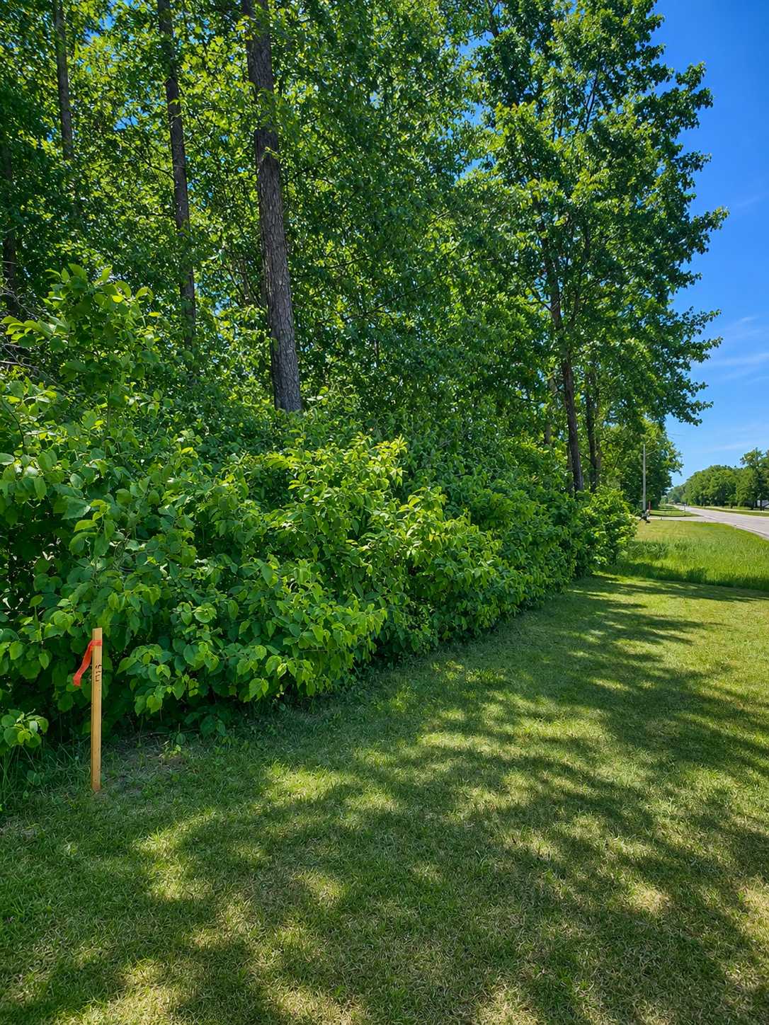 TBD Clearwater RD N, Baxter, MN 56425
