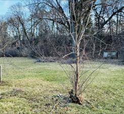 16XX Woodbury Road, Newport, MN 55055