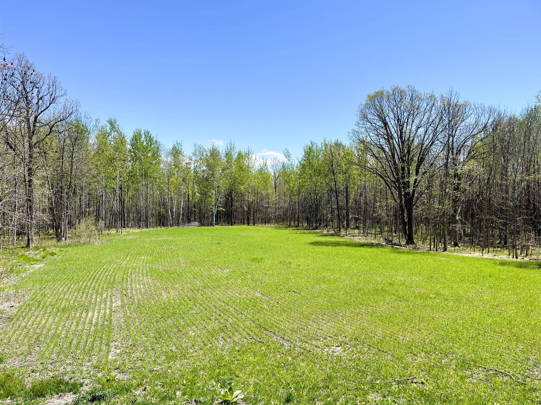 TBD 15th ST NW, Bemidji, MN 56601