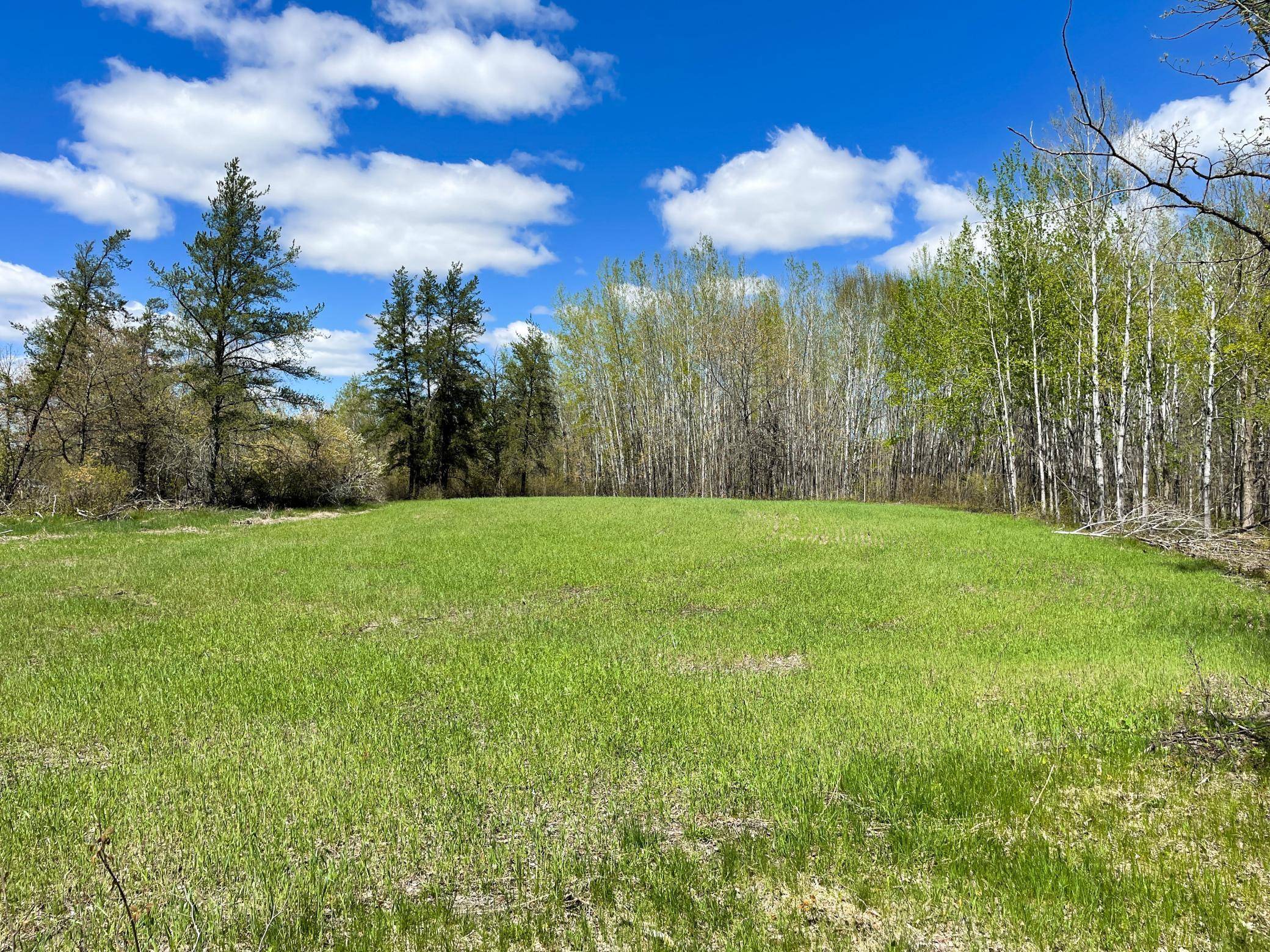 TBD 15th ST NW, Bemidji, MN 56601