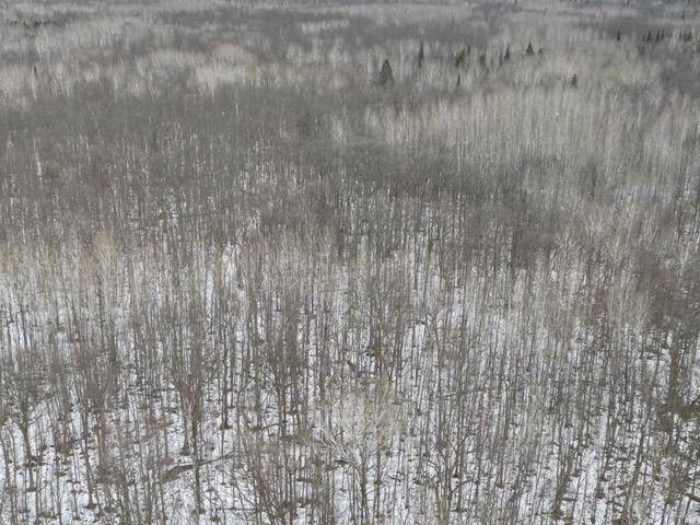TBD Spangrud CT NE, Kelliher, MN 56650