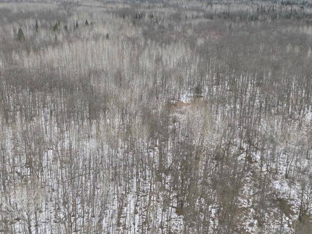 TBD Spangrud CT NE, Kelliher, MN 56650