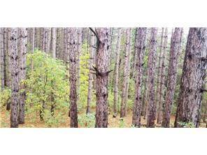 Lot 4 Paulsen Lake Lane, Osceola, WI 54020