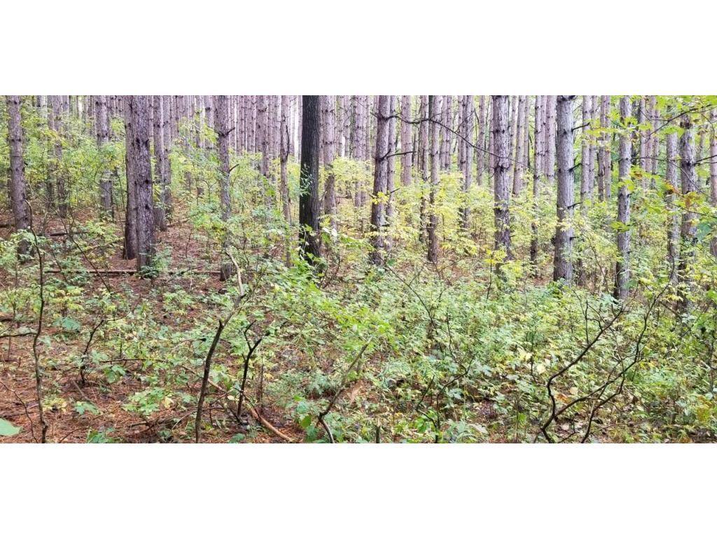 Lot 4 Paulsen Lake Lane, Osceola, WI 54020