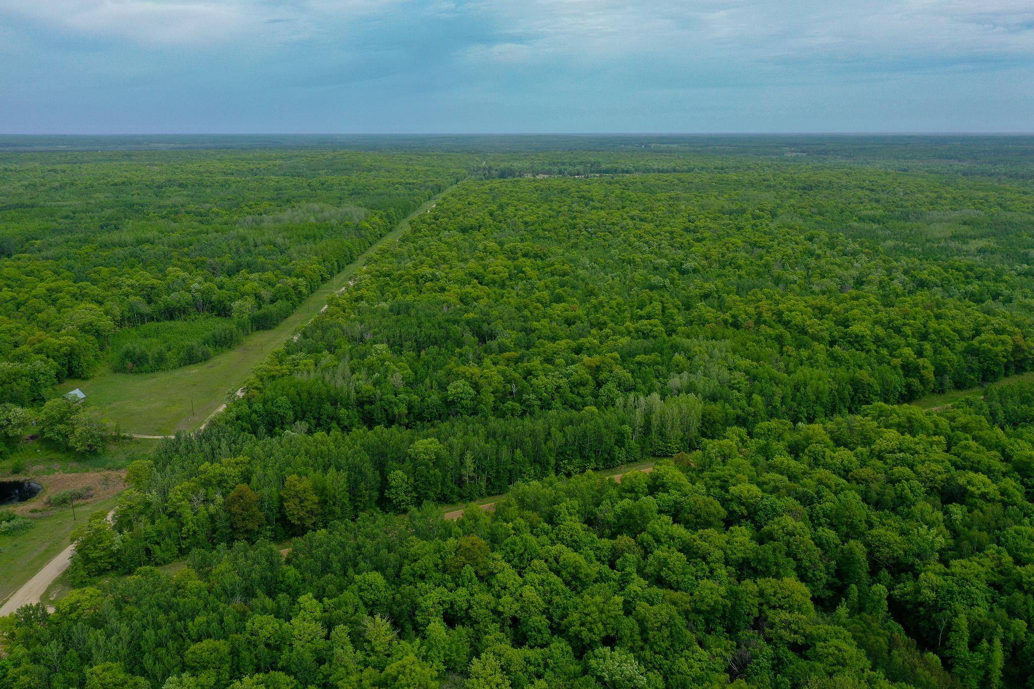 TBD- 315th AVE, Laporte, MN 56461