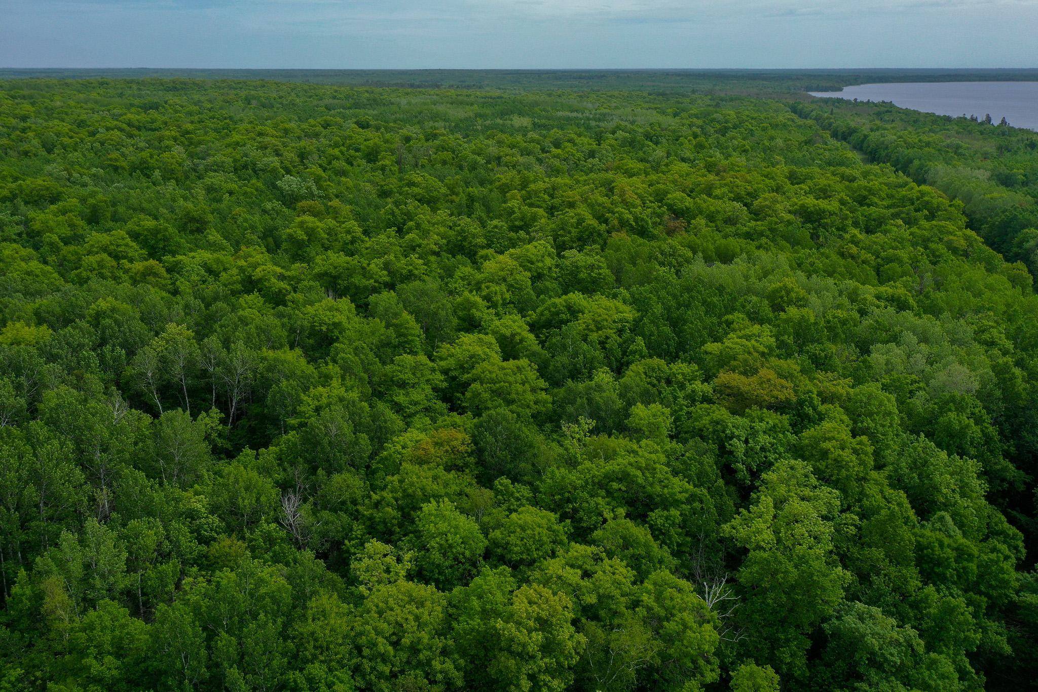 TBD- 315th AVE, Laporte, MN 56461