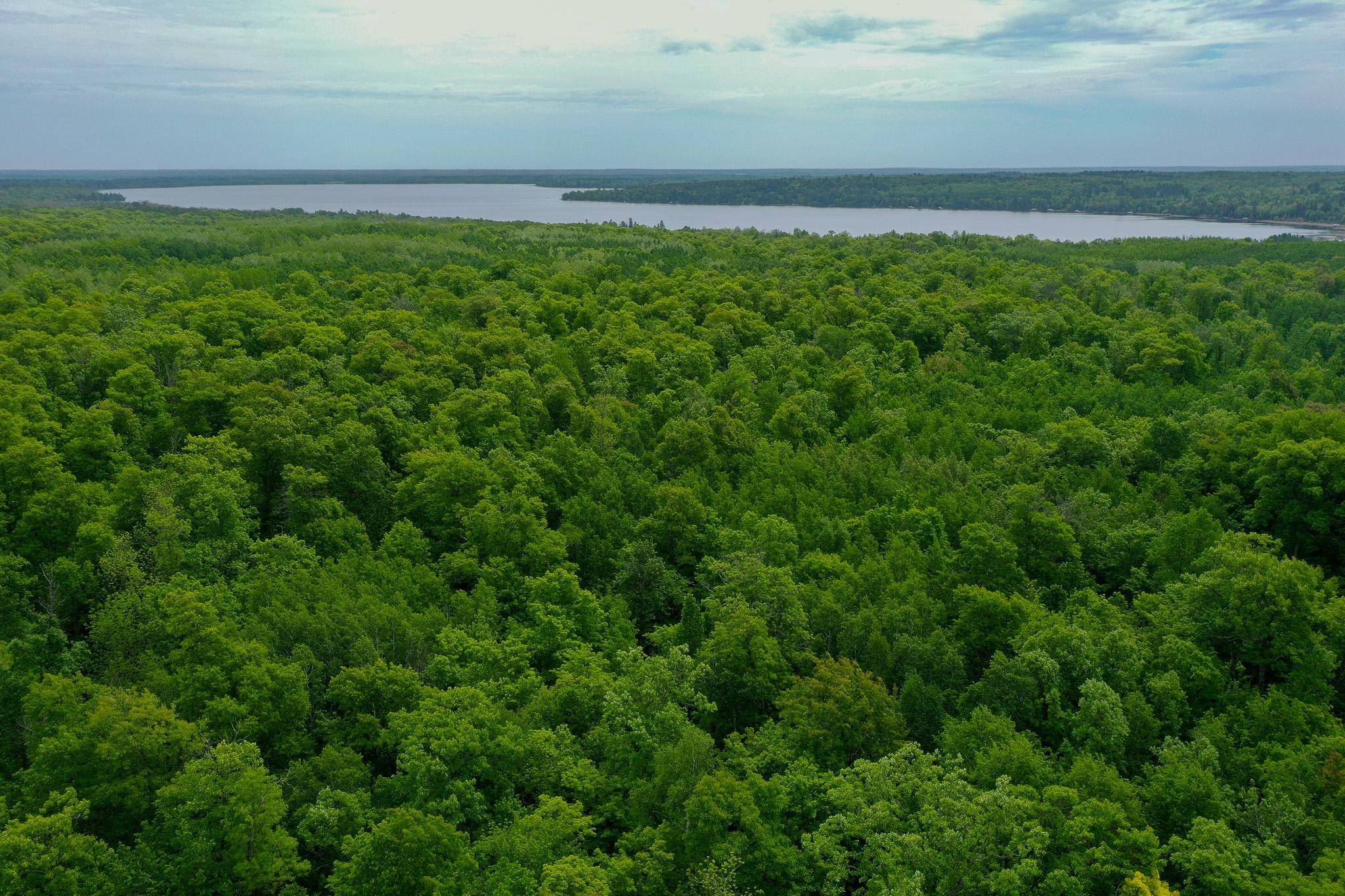TBD 315th AVE, Laporte, MN 56461