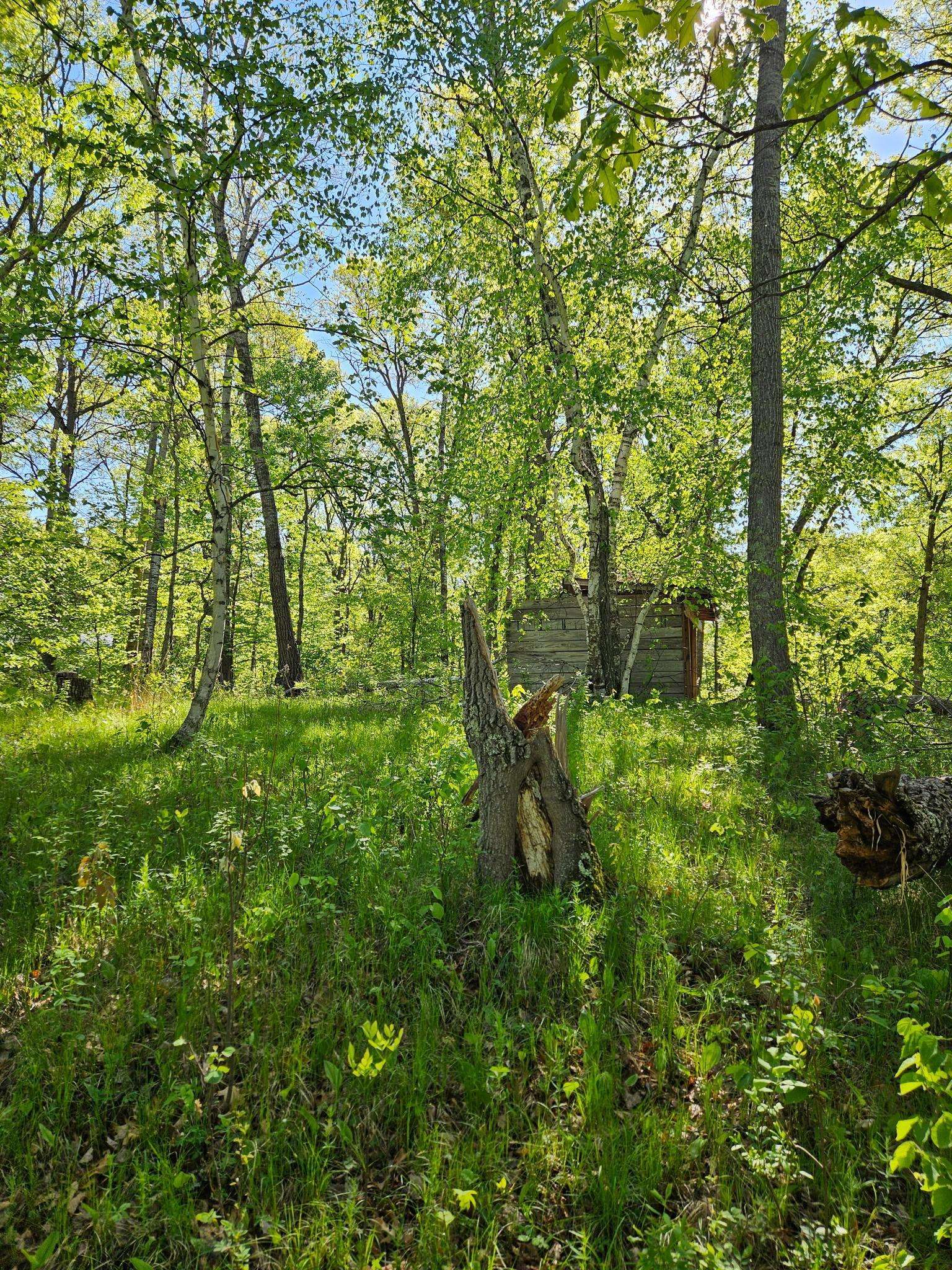 TBD Lot 49, Blk 1 HURON DR., Breezy Point, MN 56472