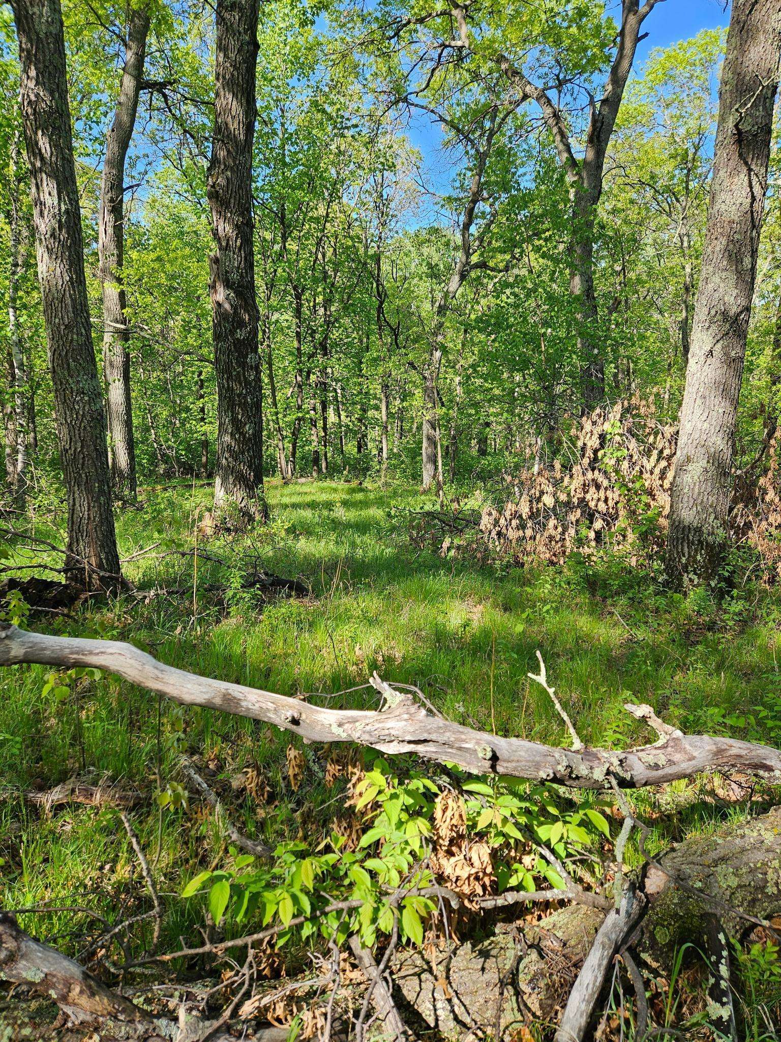 TBD Lot 49, Blk 1 HURON DR., Breezy Point, MN 56472