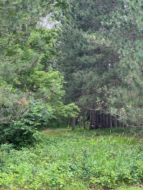 1648 38th ST S, Saint Cloud, MN 56301