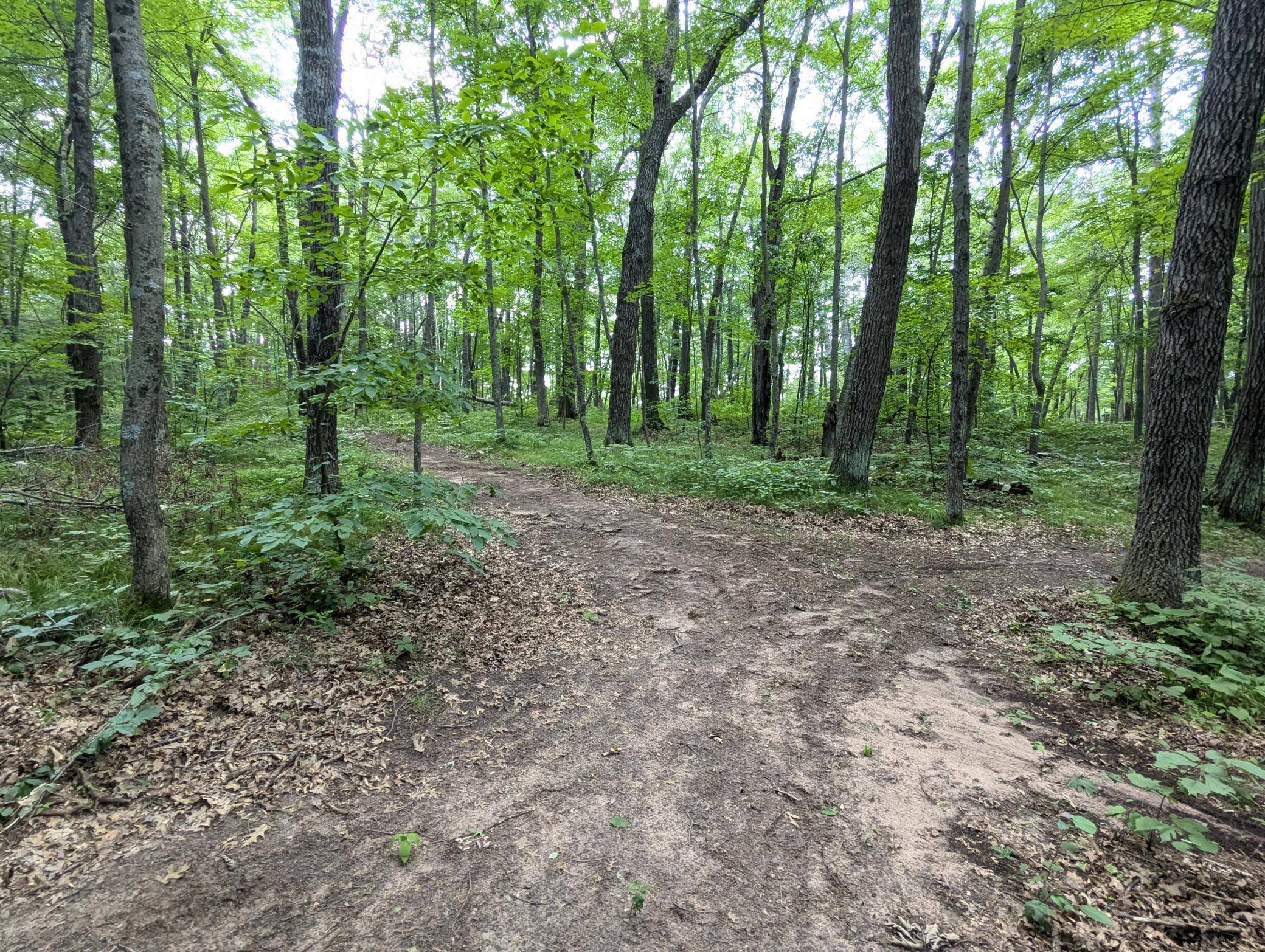 Lot 2 Fosmo, Webster, WI 54893