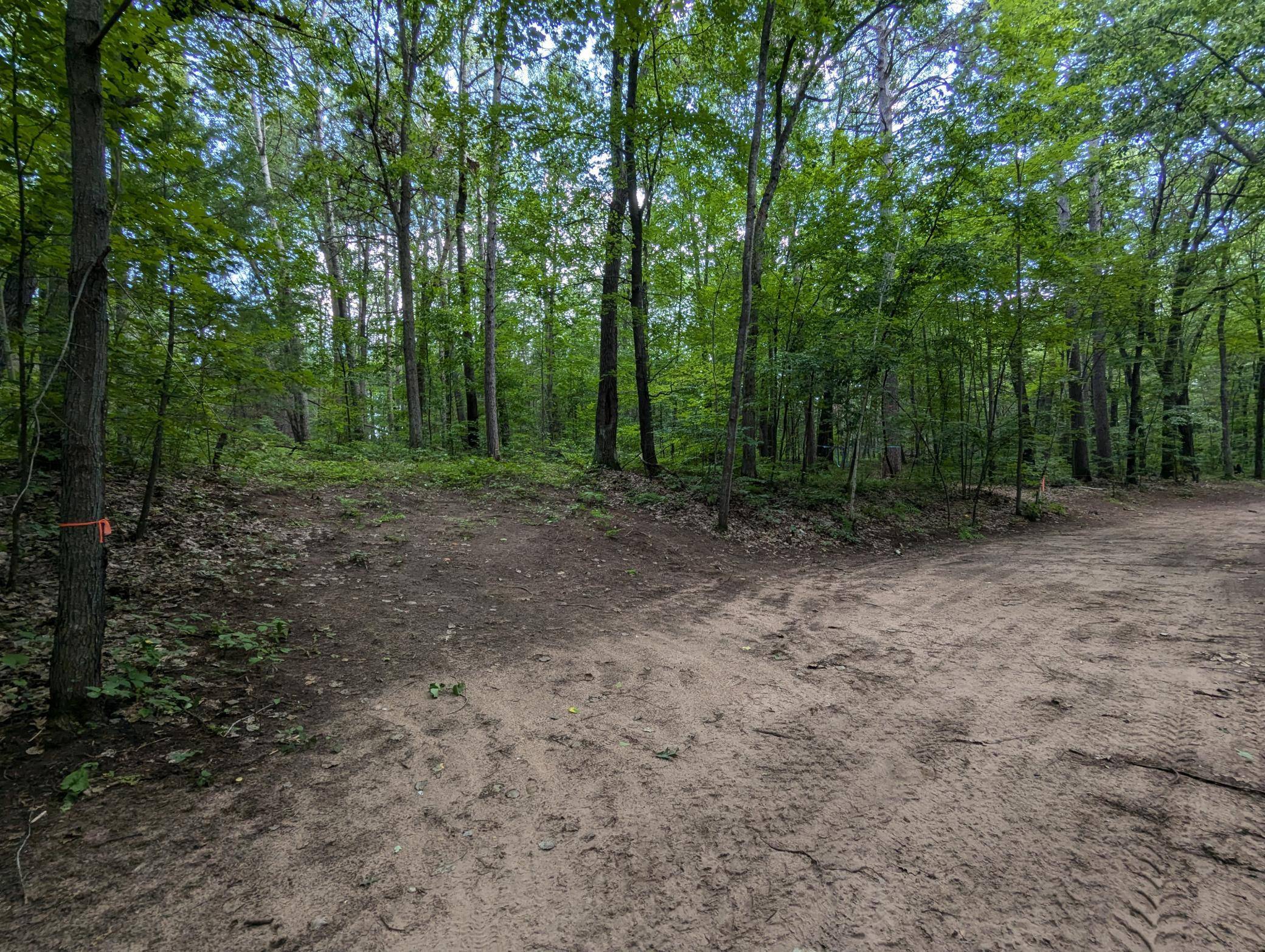 Lot 3 Fosmo, Webster, WI 54893