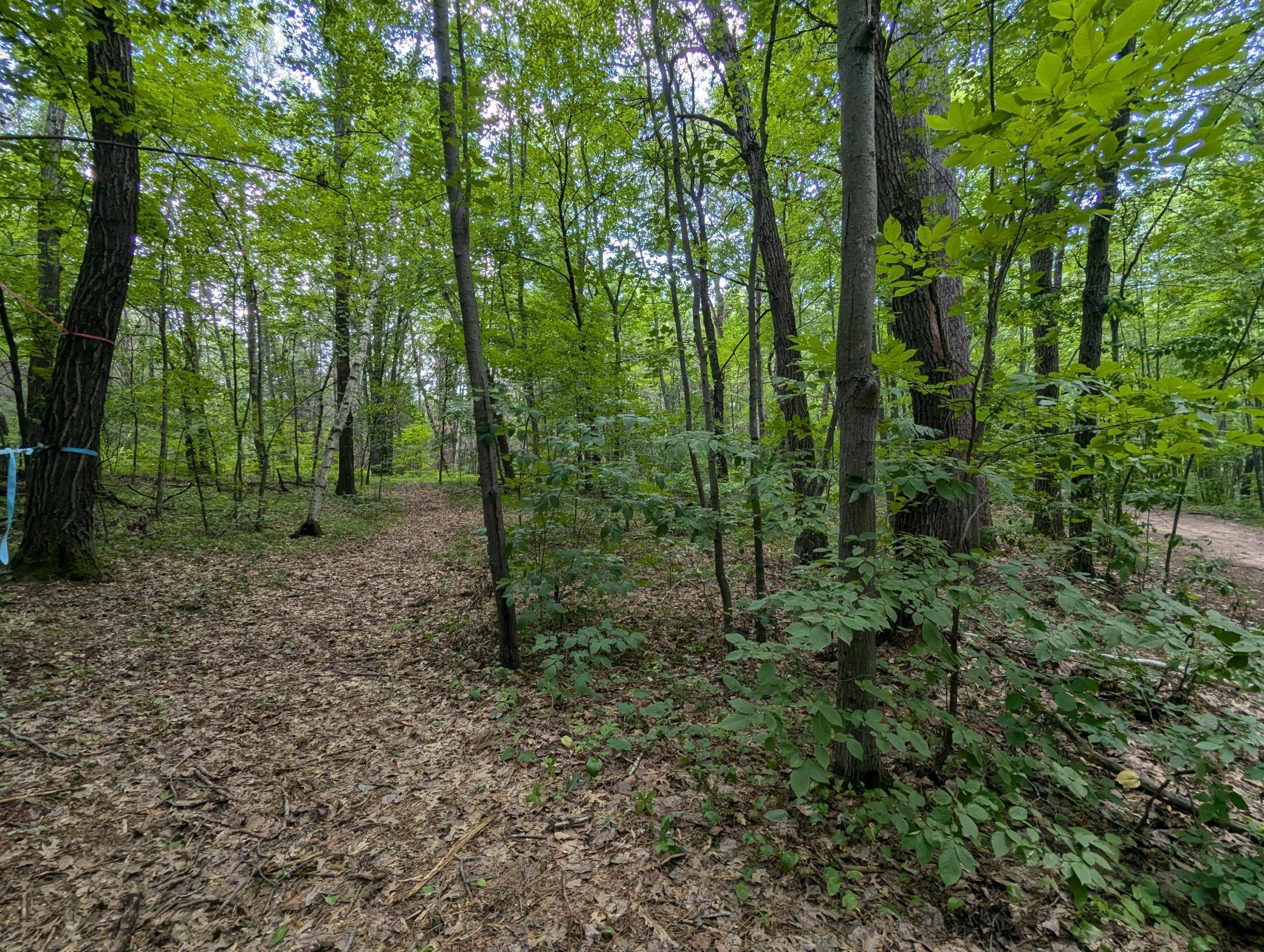 Lot 4 Fosmo, Webster, WI 54893