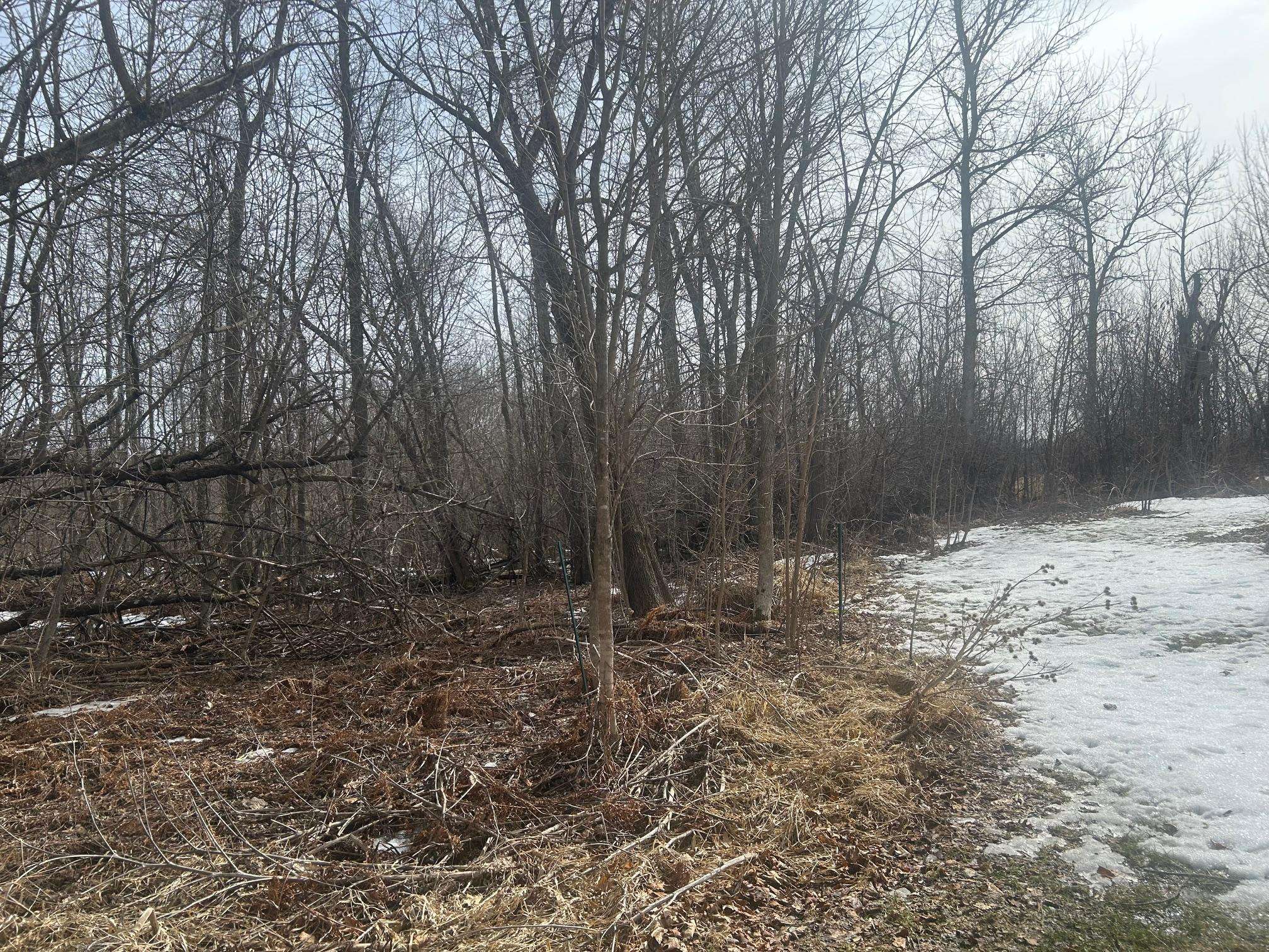 TBD TBD, Hill City, MN 55748