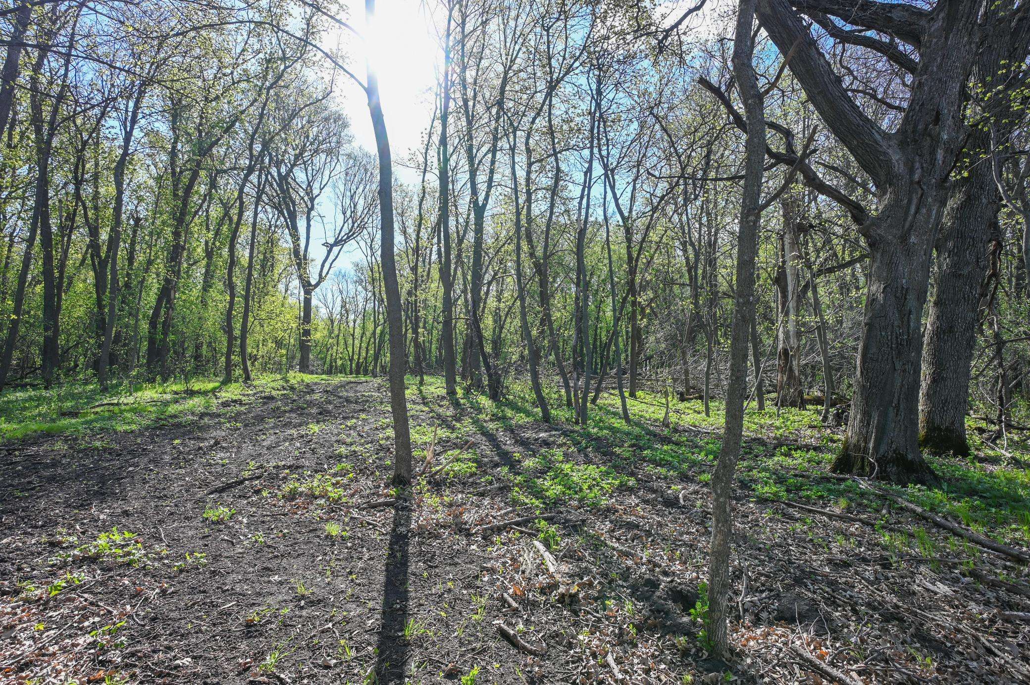 11115 350th AVE, Farwell, MN 56327