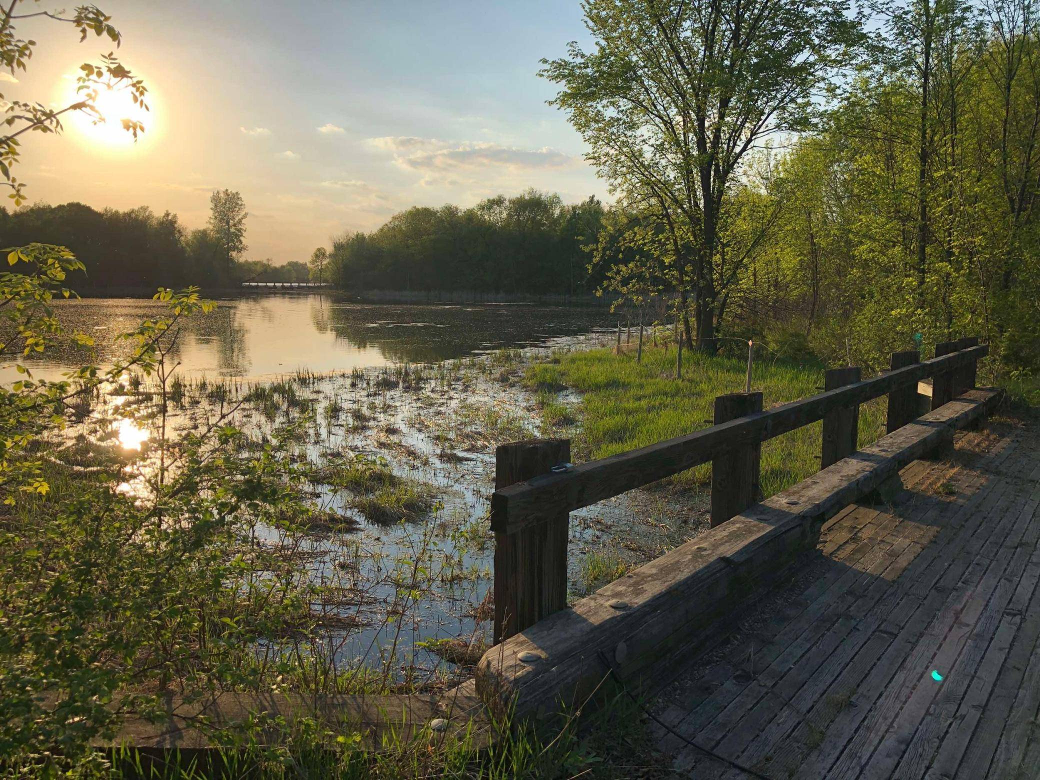 981 Peninsula Point RD, Shakopee, MN 55379