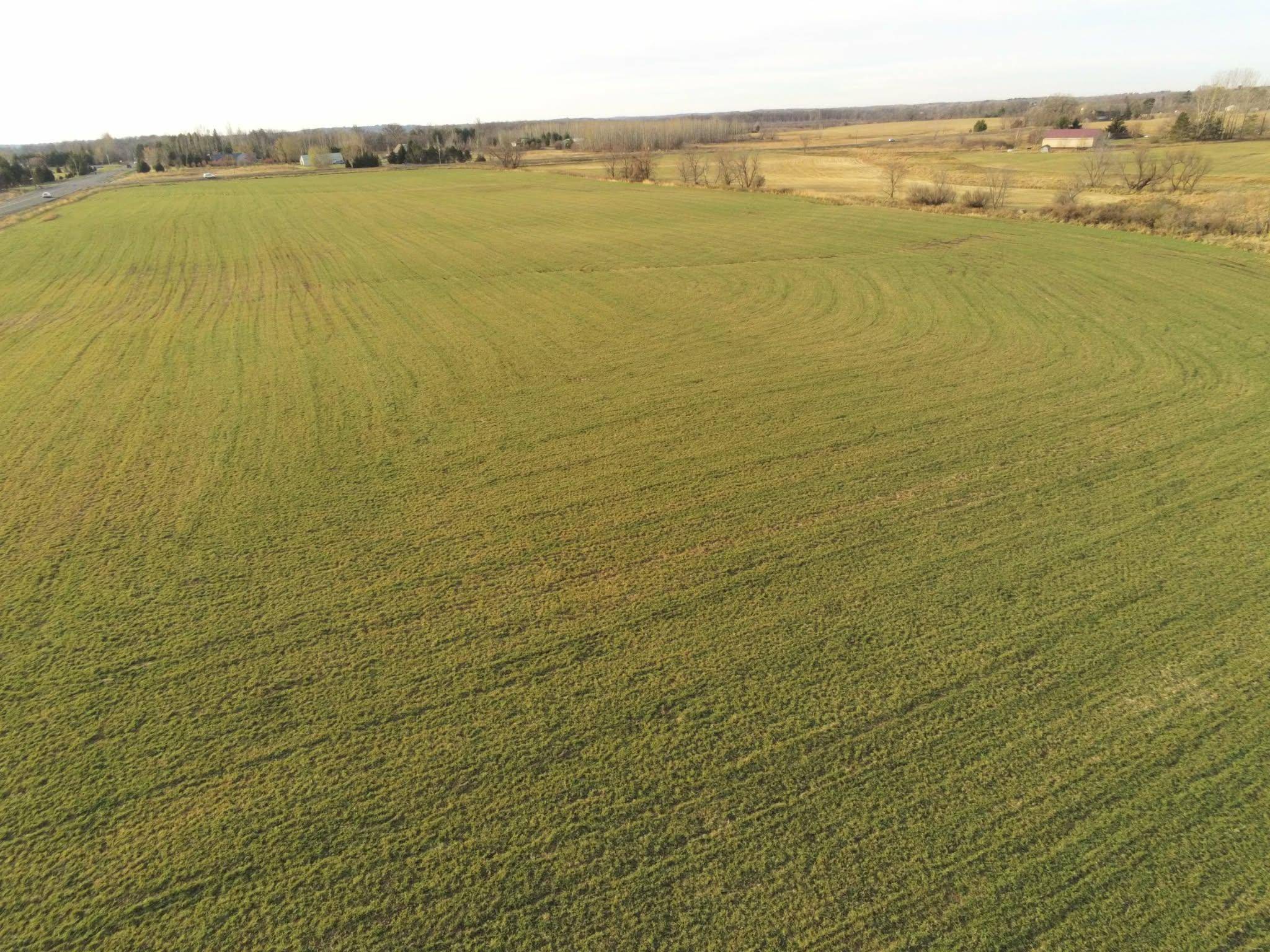 Lot 1 Rush Lake TRL, Braham, MN 55006