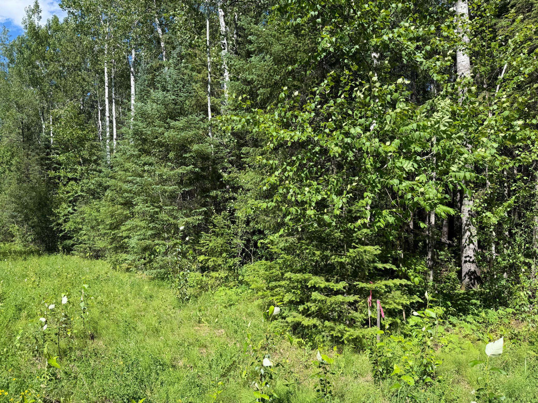 TBD Town Road 211, International Falls, MN 56649