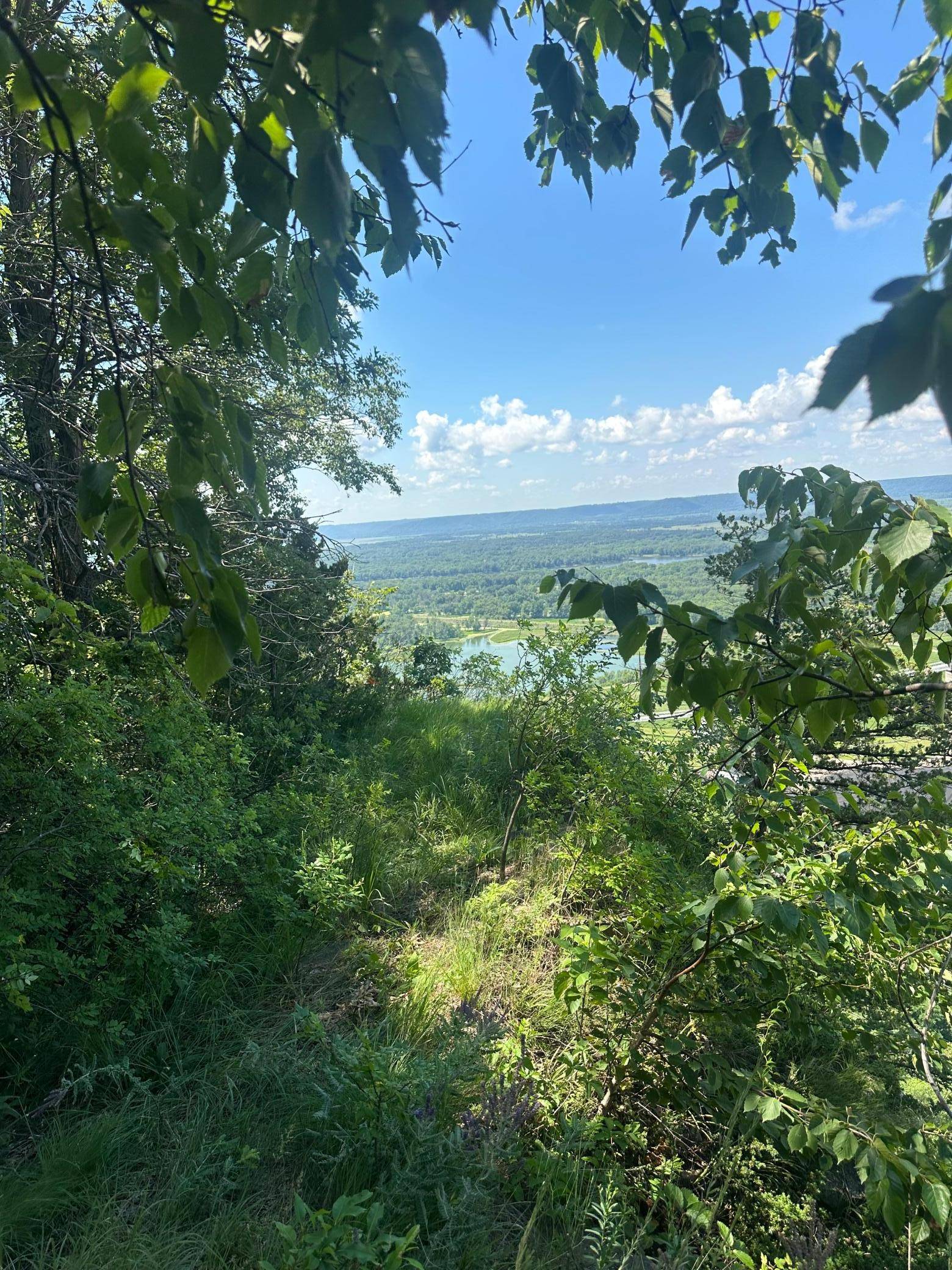 Lot 1 Alma Hills, Alma, WI 54610