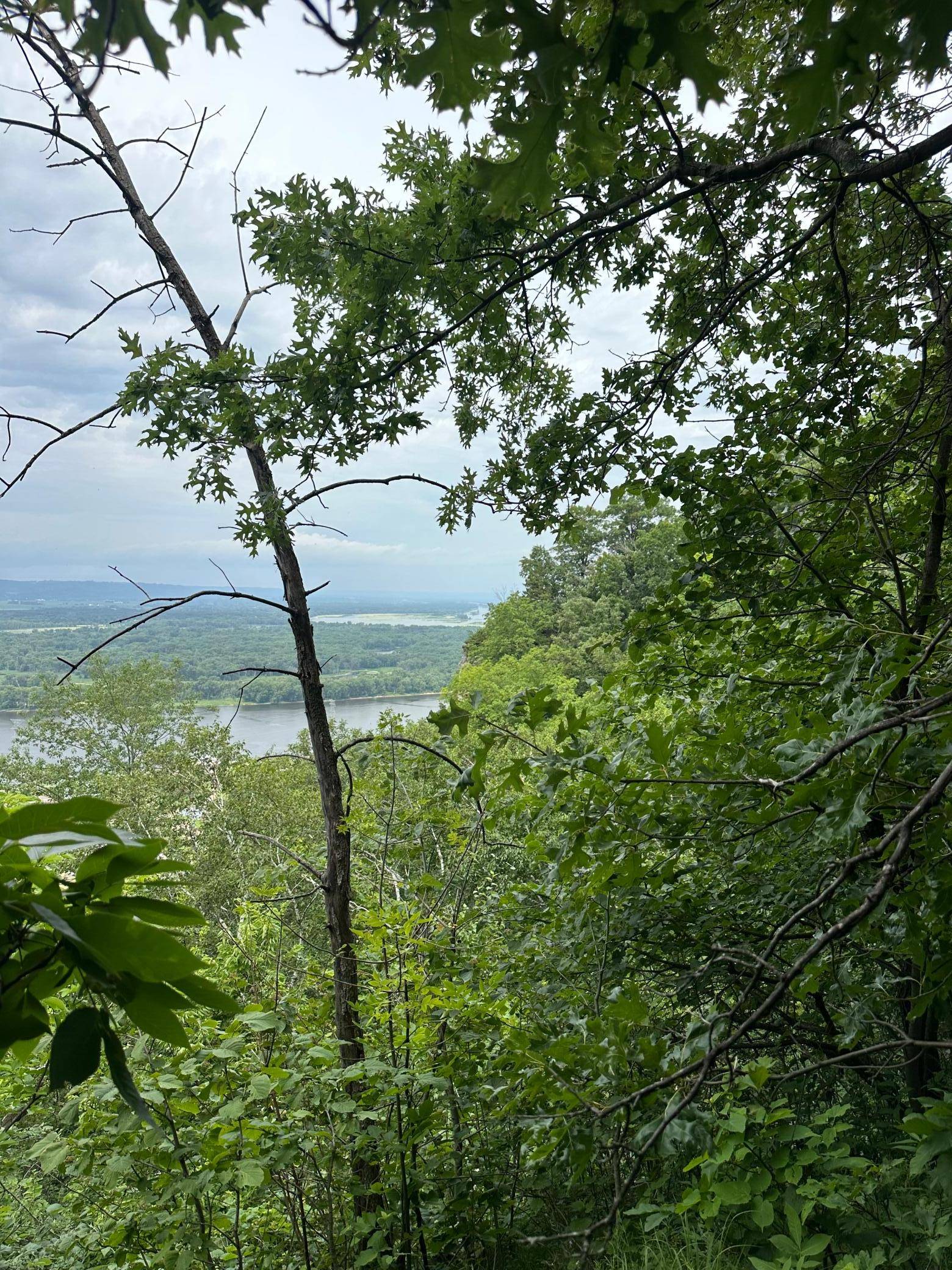 Lot 1 Alma Hills, Alma, WI 54610