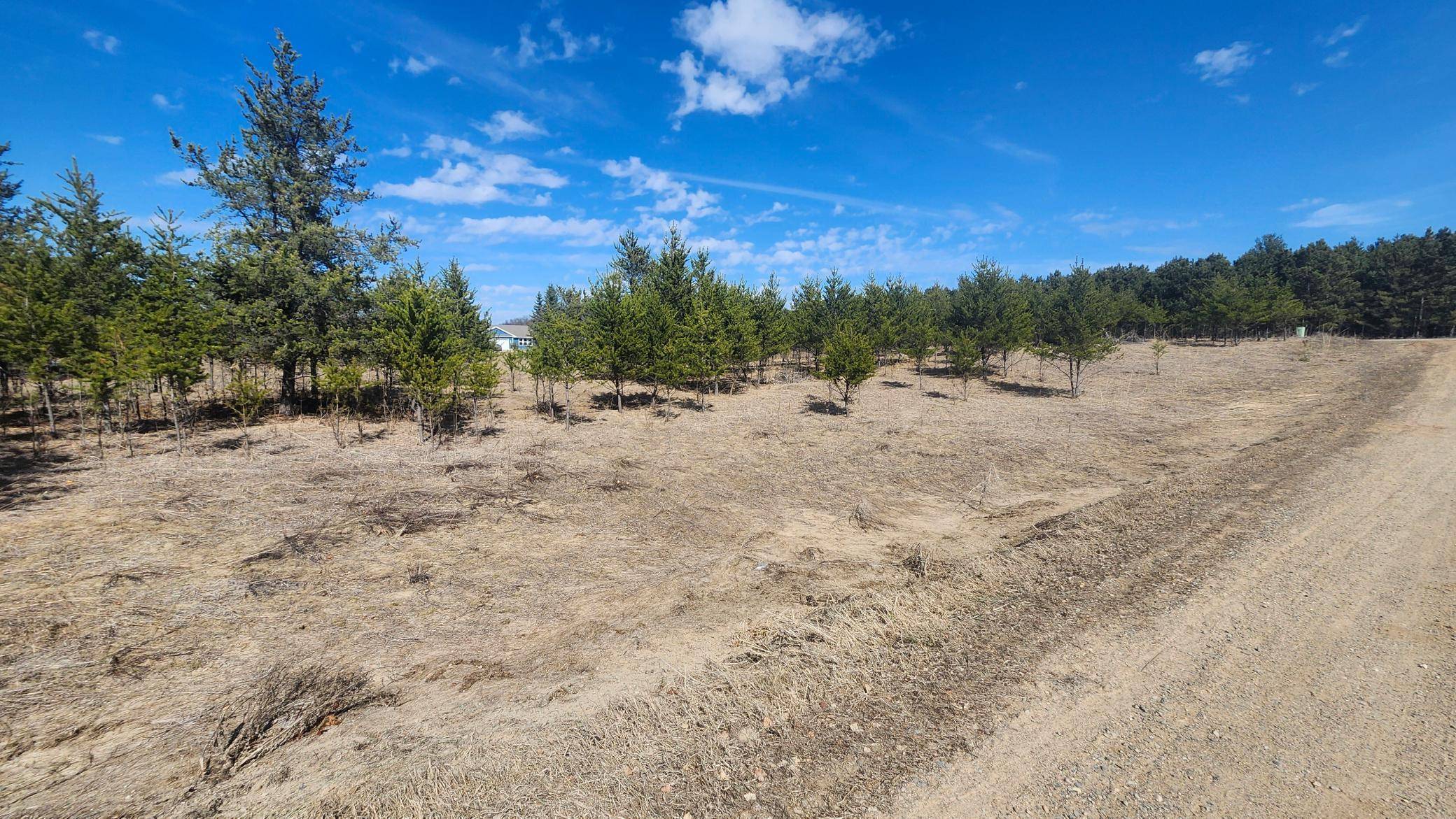 TBD East St, Breezy Point, MN 56472