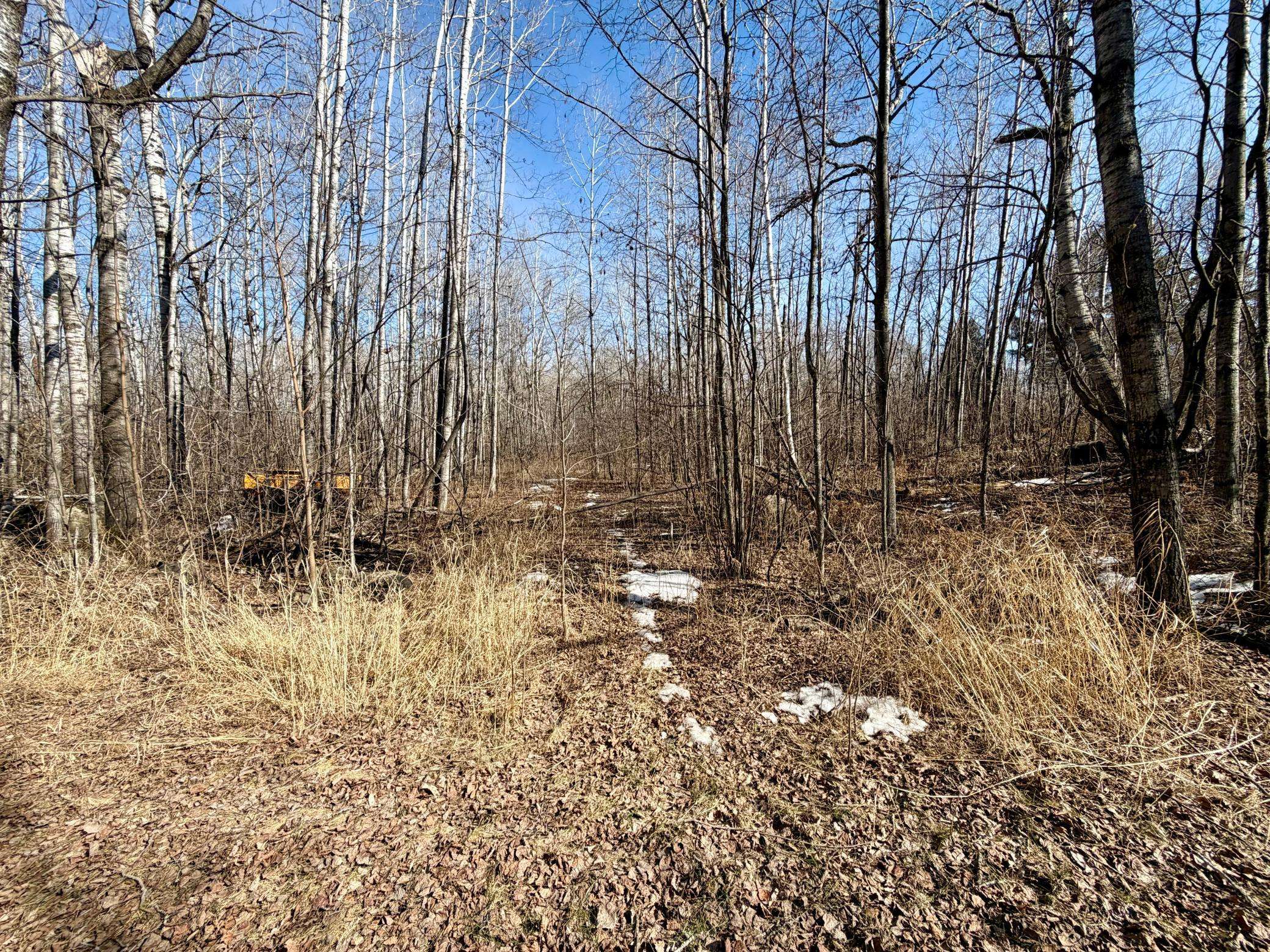 TBD First AVE N, Kelly Lake, MN 55746