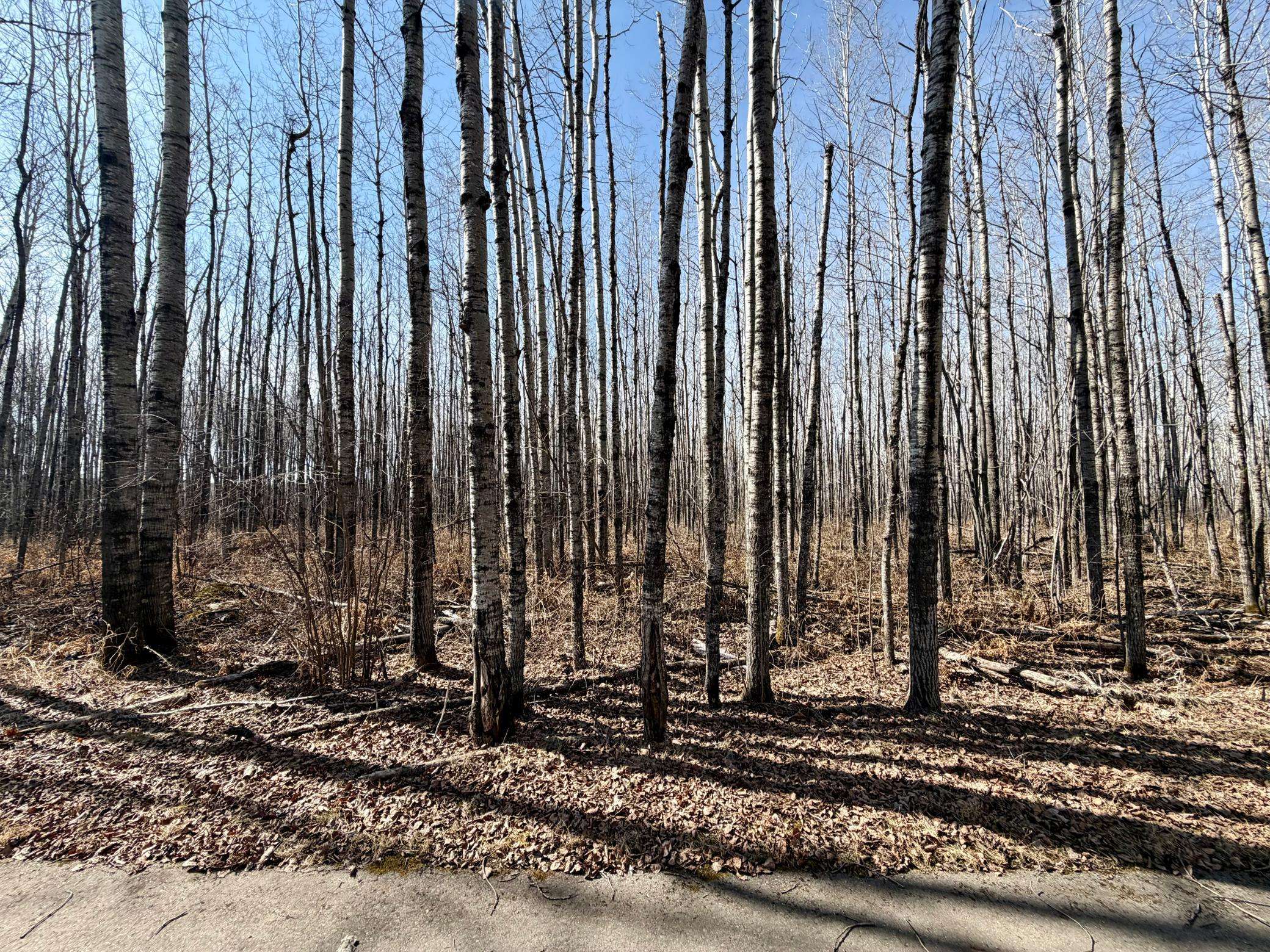 TBD First AVE N, Kelly Lake, MN 55746