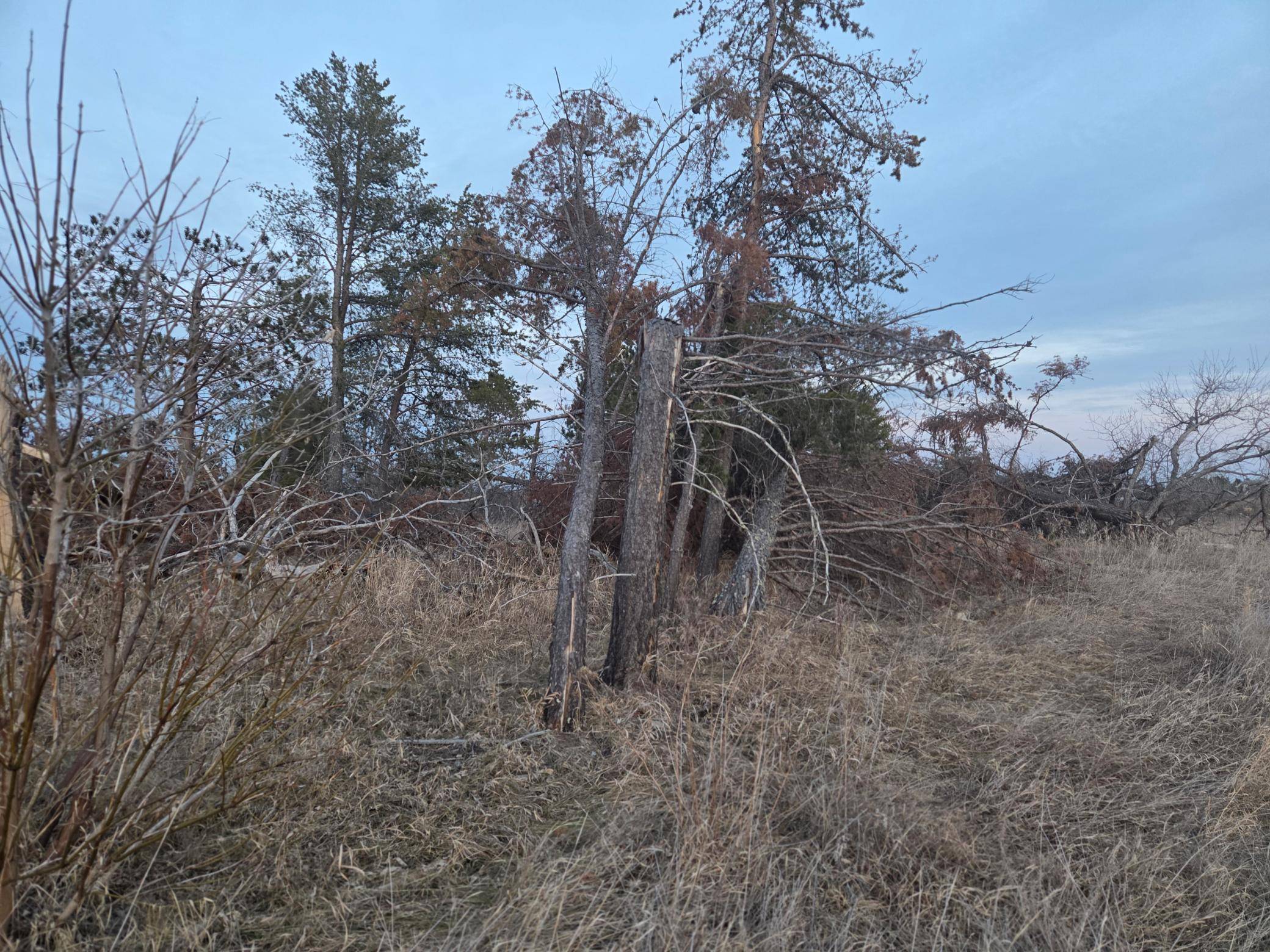 TBD Lot 5 Beartooth AVE SW, Bemidji, MN 56601