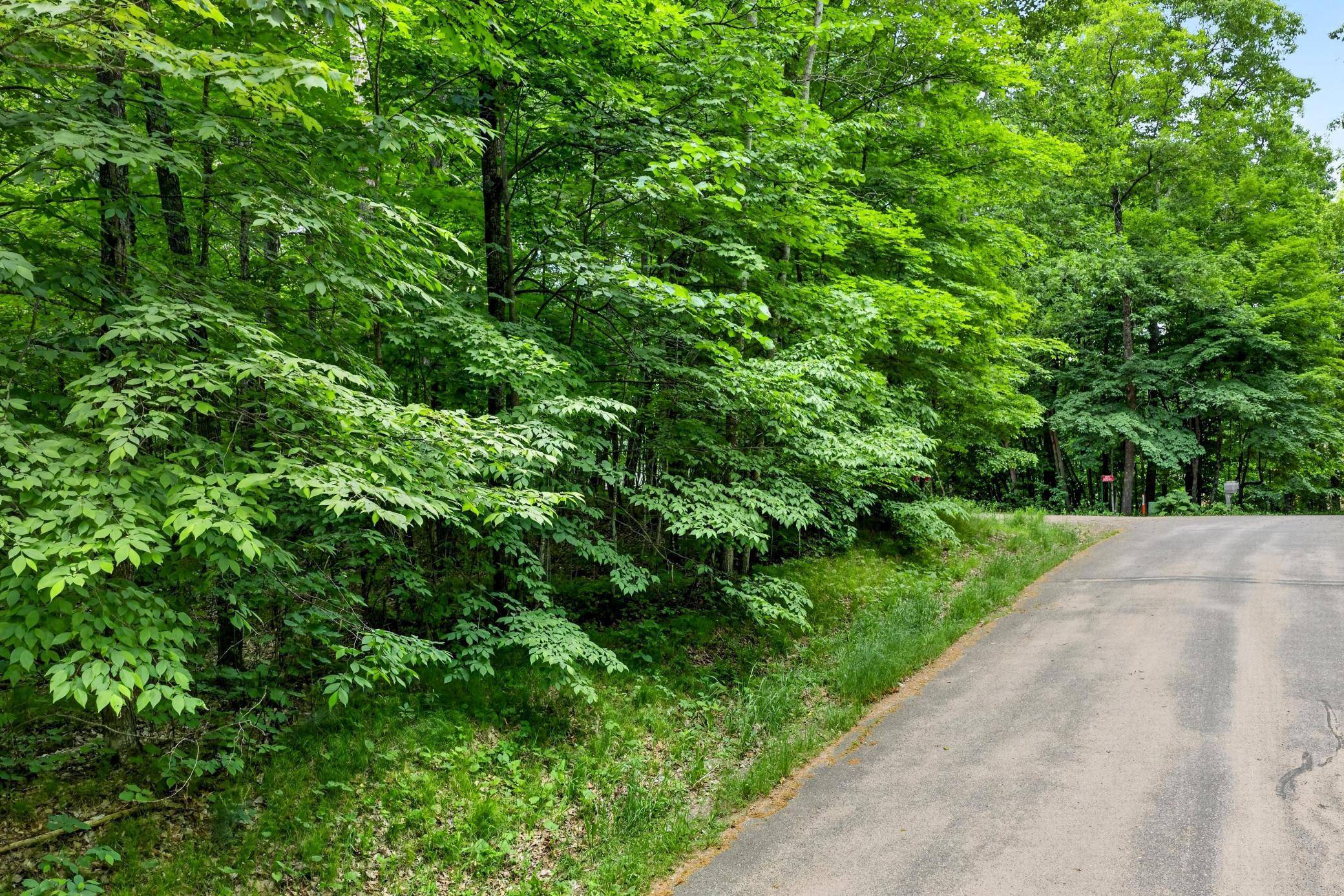 TBD Ripley Spur RD, Sarona, WI 54870