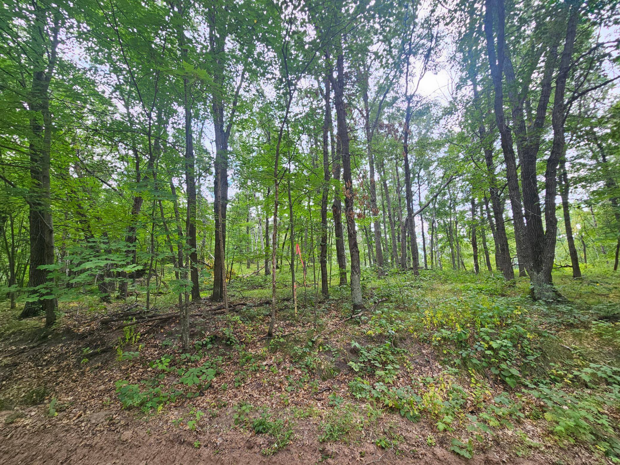 TBD Tract C Richfield RD SW, Pillager, MN 56473