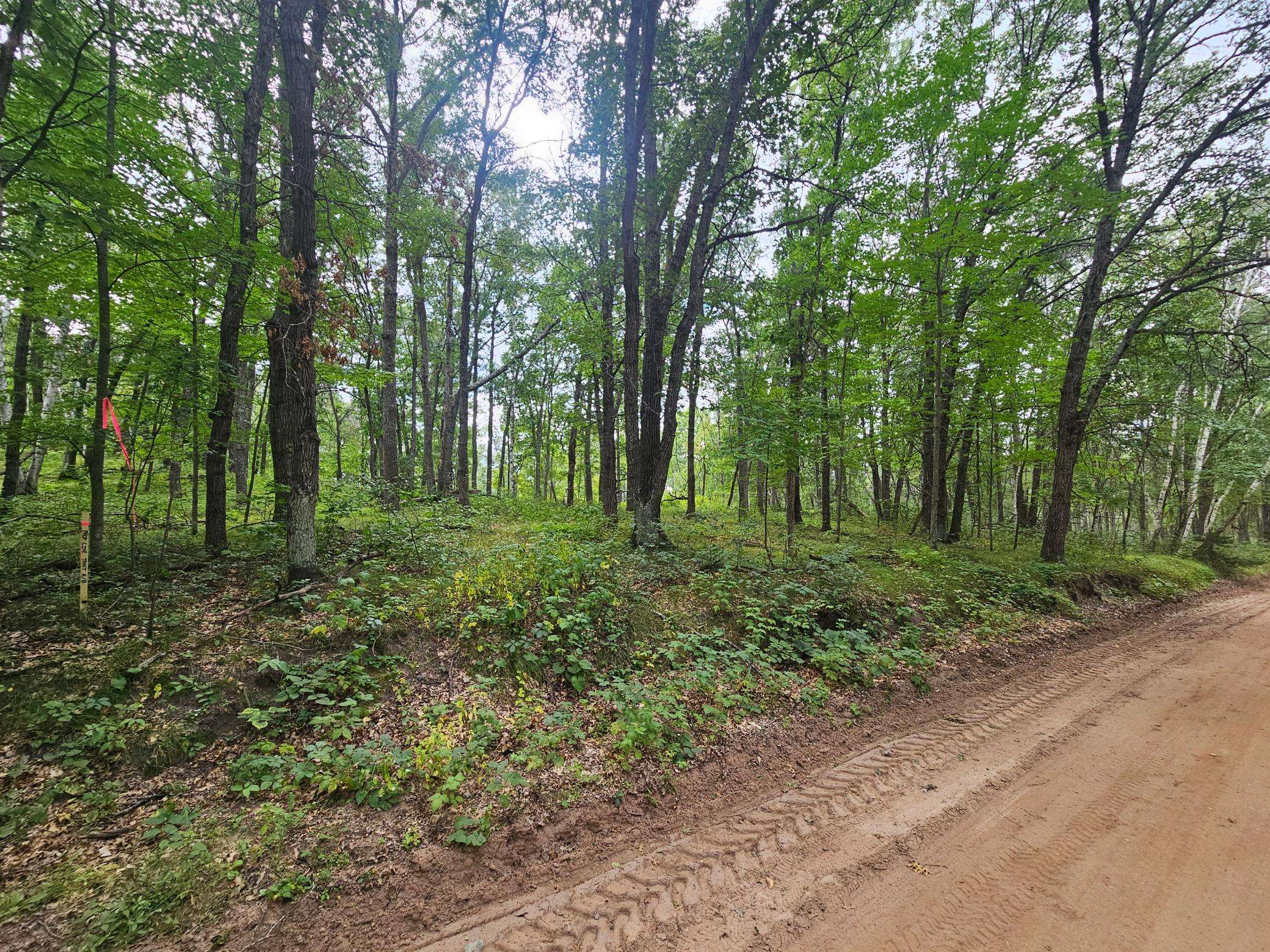 TBD Tract C Richfield RD SW, Pillager, MN 56473
