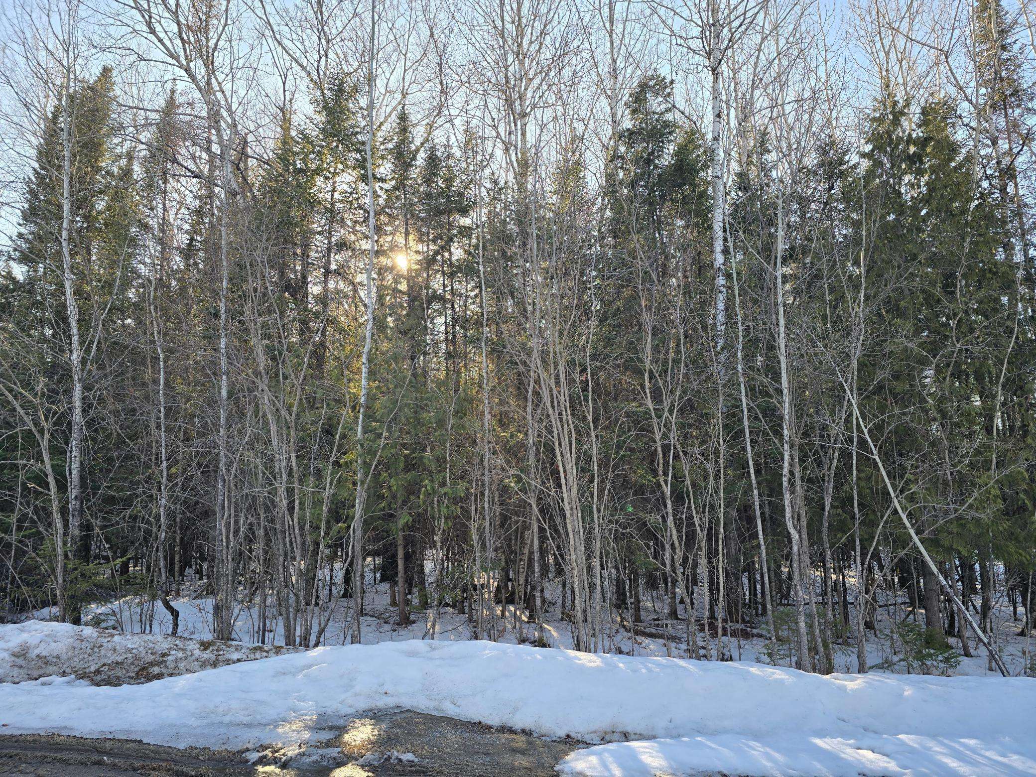 TBD 4th Avenue 22nd Street W, International Falls, MN 56649