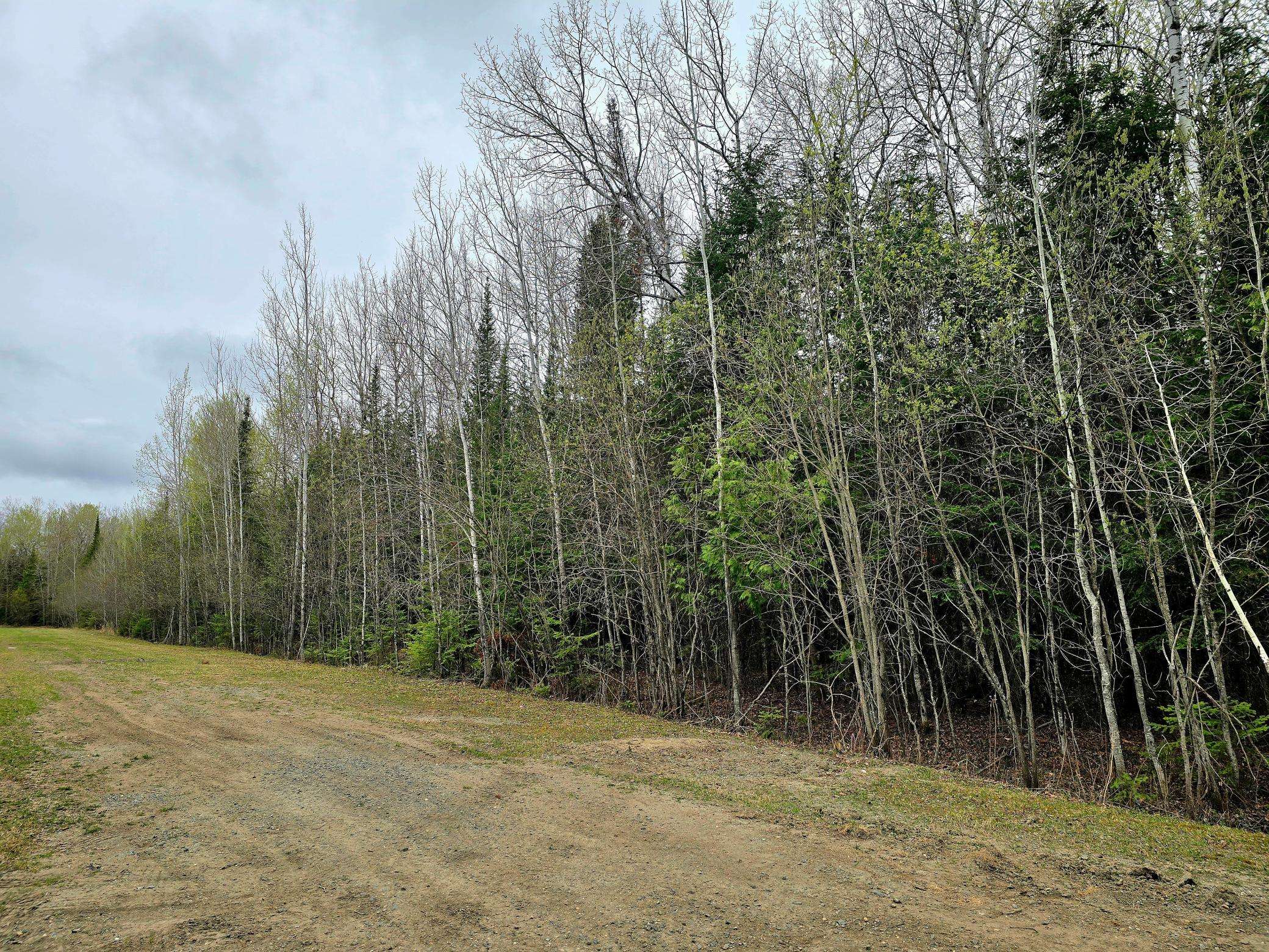 TBD 4th Avenue 22nd Street W, International Falls, MN 56649