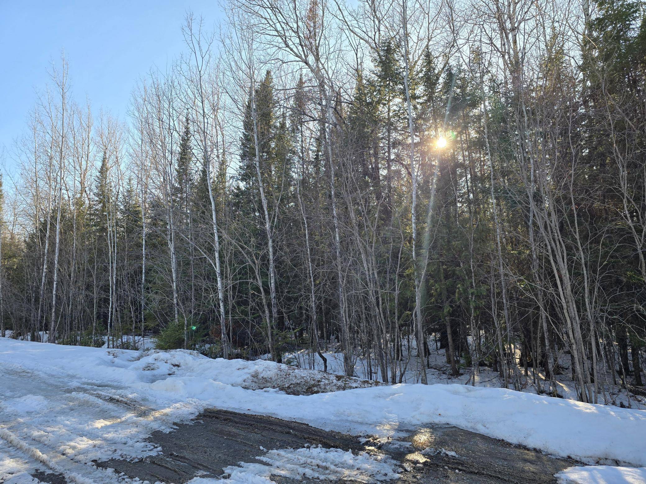 TBD 4th Avenue 22nd Street W, International Falls, MN 56649