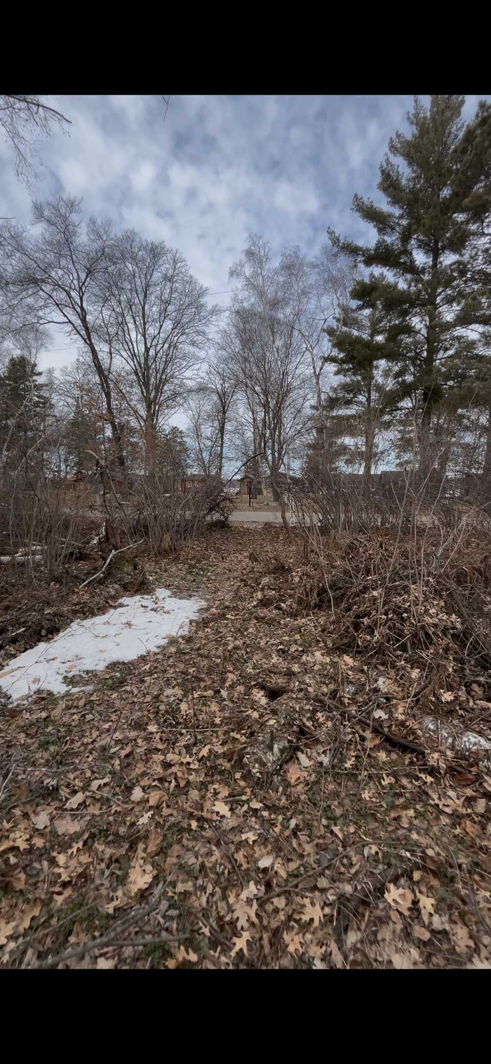 TBD Big Pine Trail, Crosslake, MN 56442