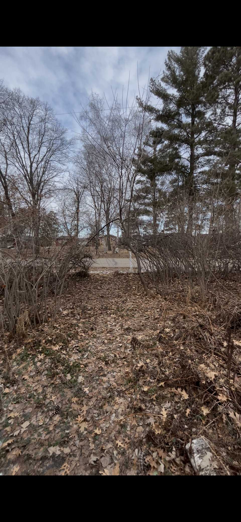TBD Big Pine Trail, Crosslake, MN 56442