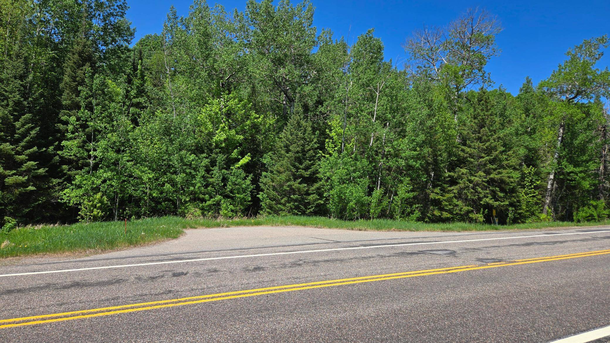 TBD 21 Nett Lake RD, Orr, MN 55771