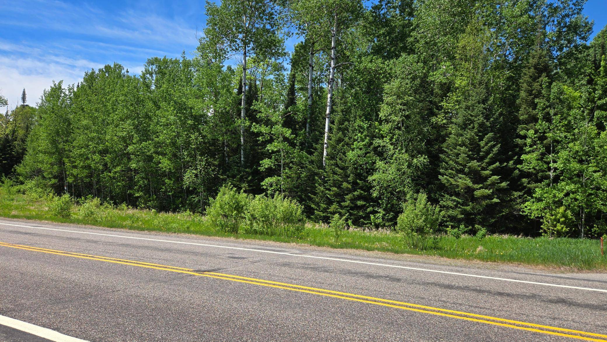 TBD 21 Nett Lake RD, Orr, MN 55771