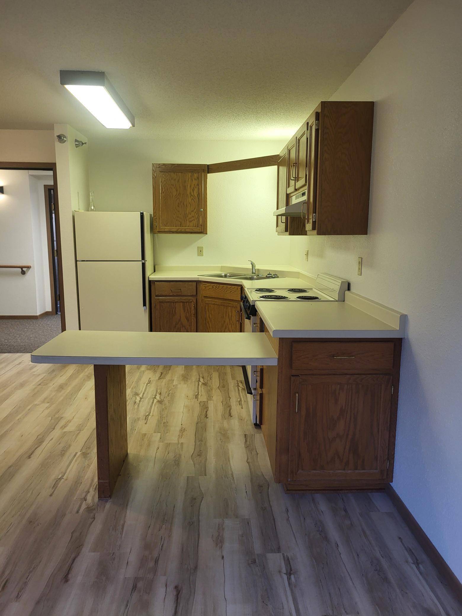 609 Main ST S #3, Renville, MN 56284