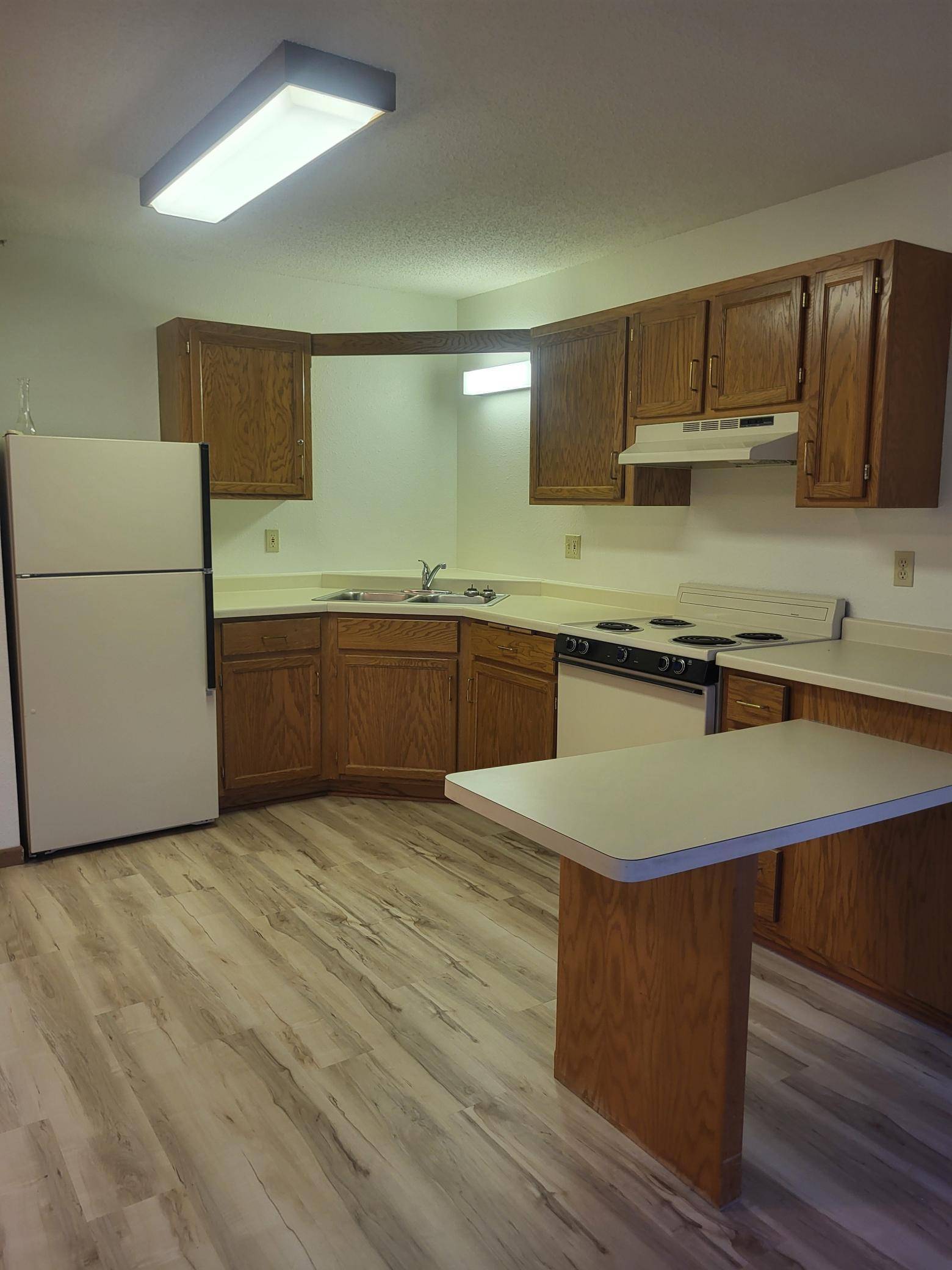609 Main ST S #3, Renville, MN 56284
