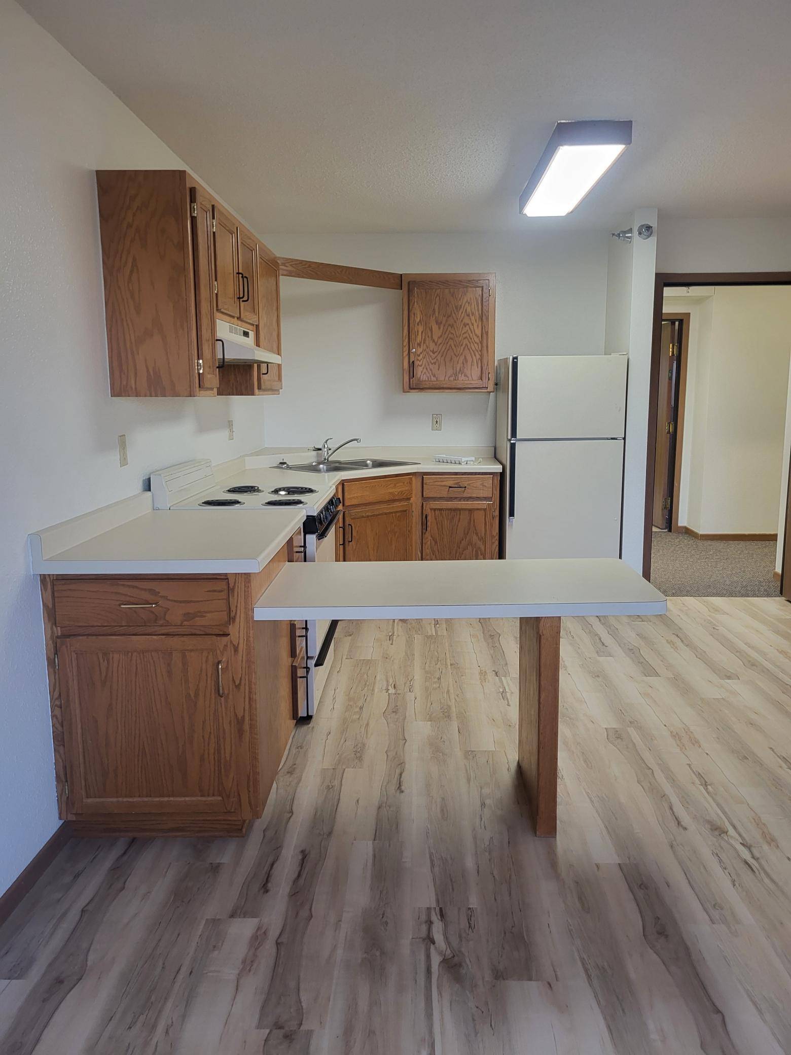 609 Main ST S #4, Renville, MN 56284