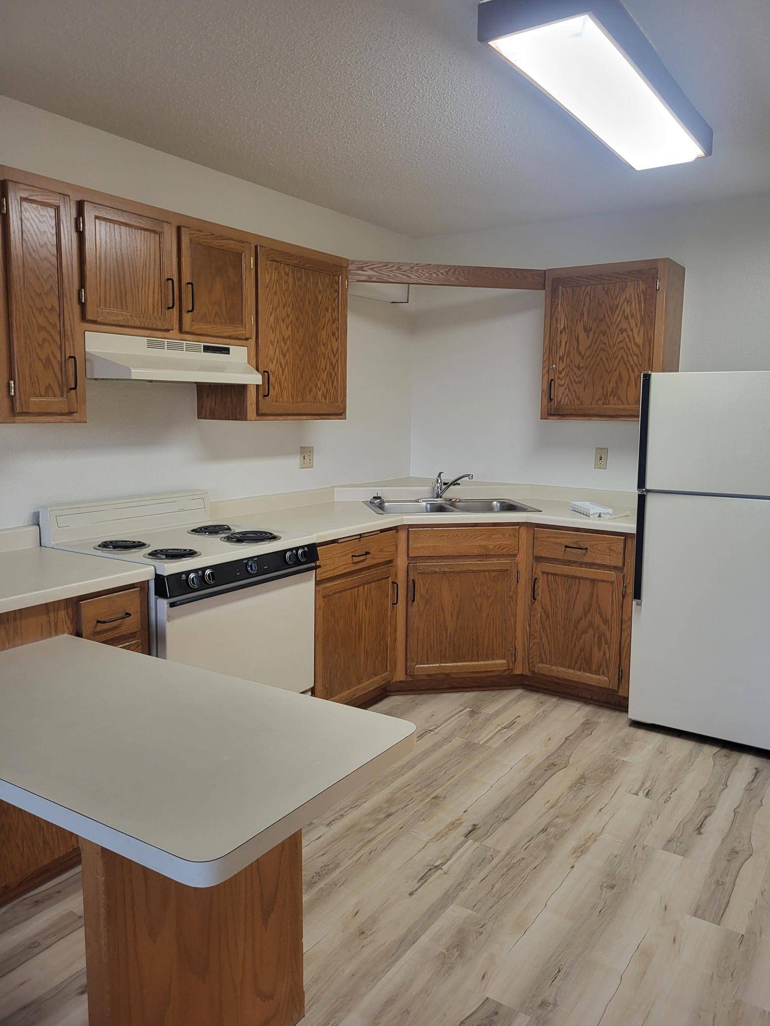 609 Main ST S #4, Renville, MN 56284