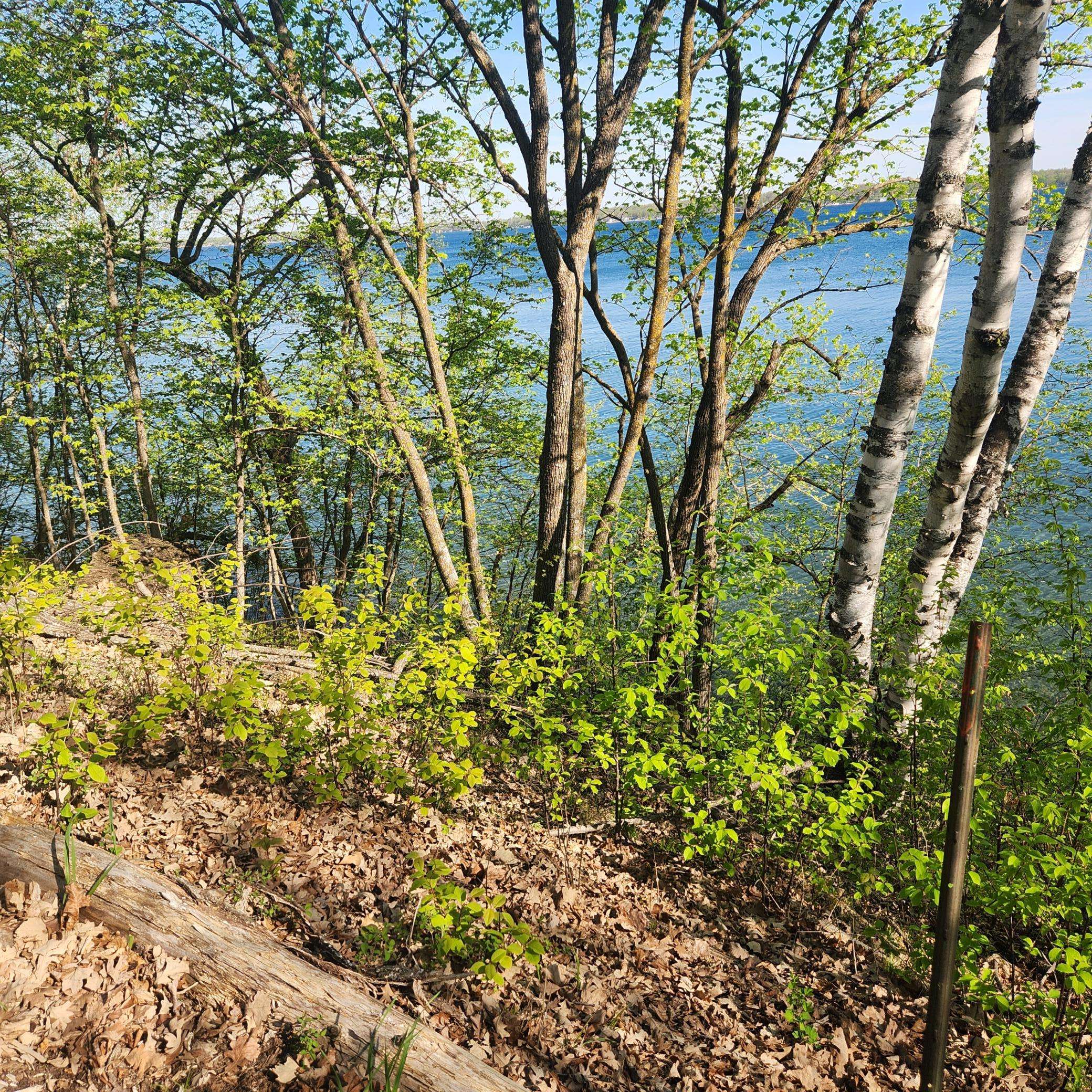TBD Knollwood Lane, Pelican Rapids, MN 56572