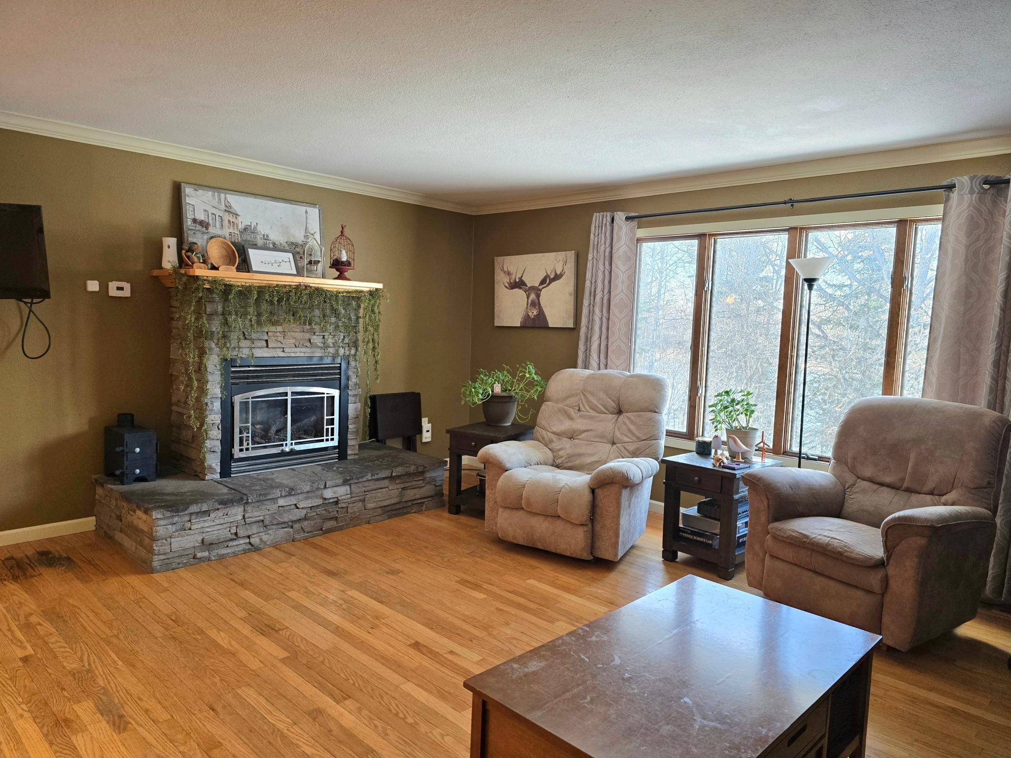 312 Shorewood DR, International Falls, MN 56649