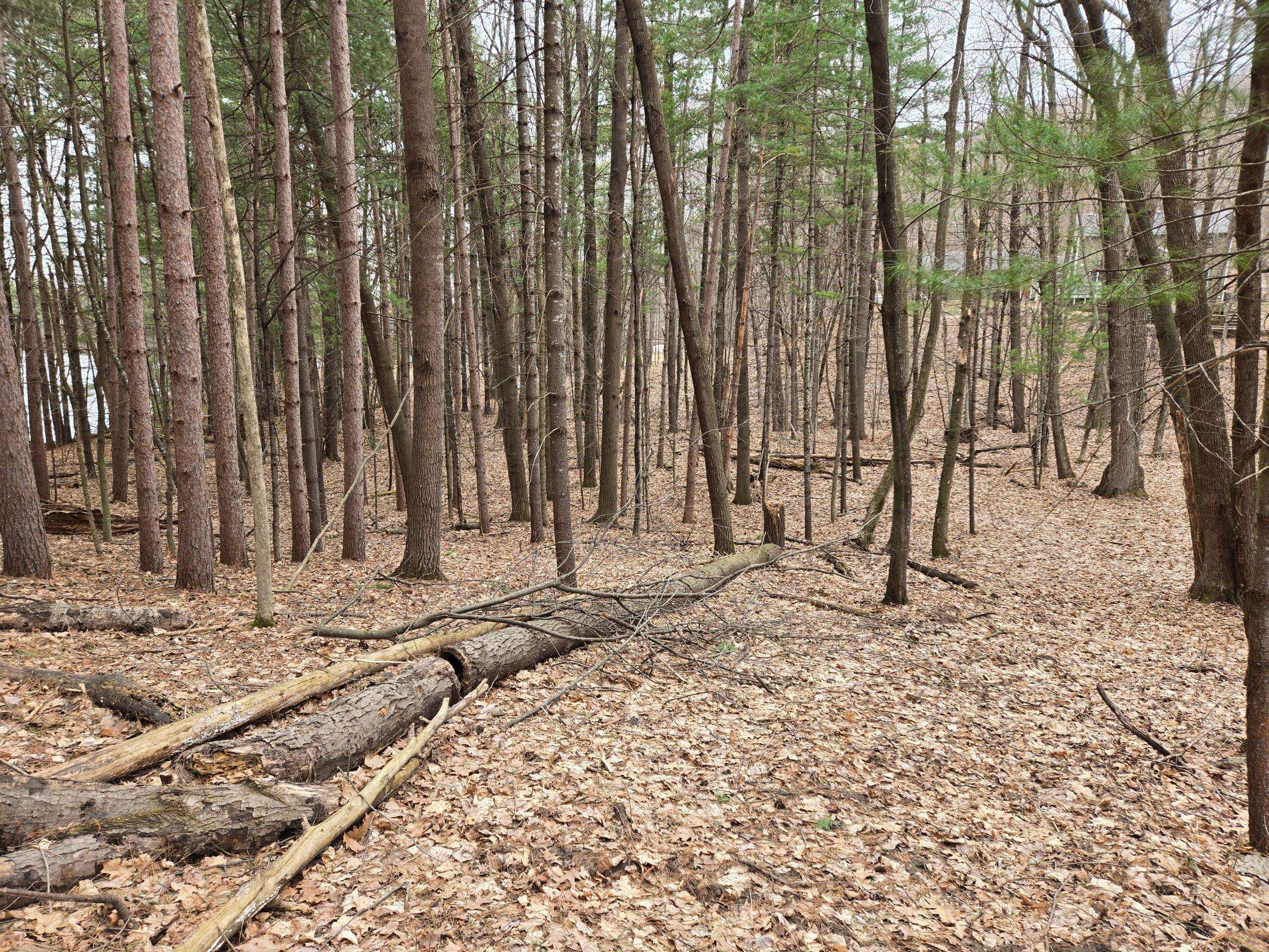 Lot 3 732nd AVE, Menomonie, WI 54751