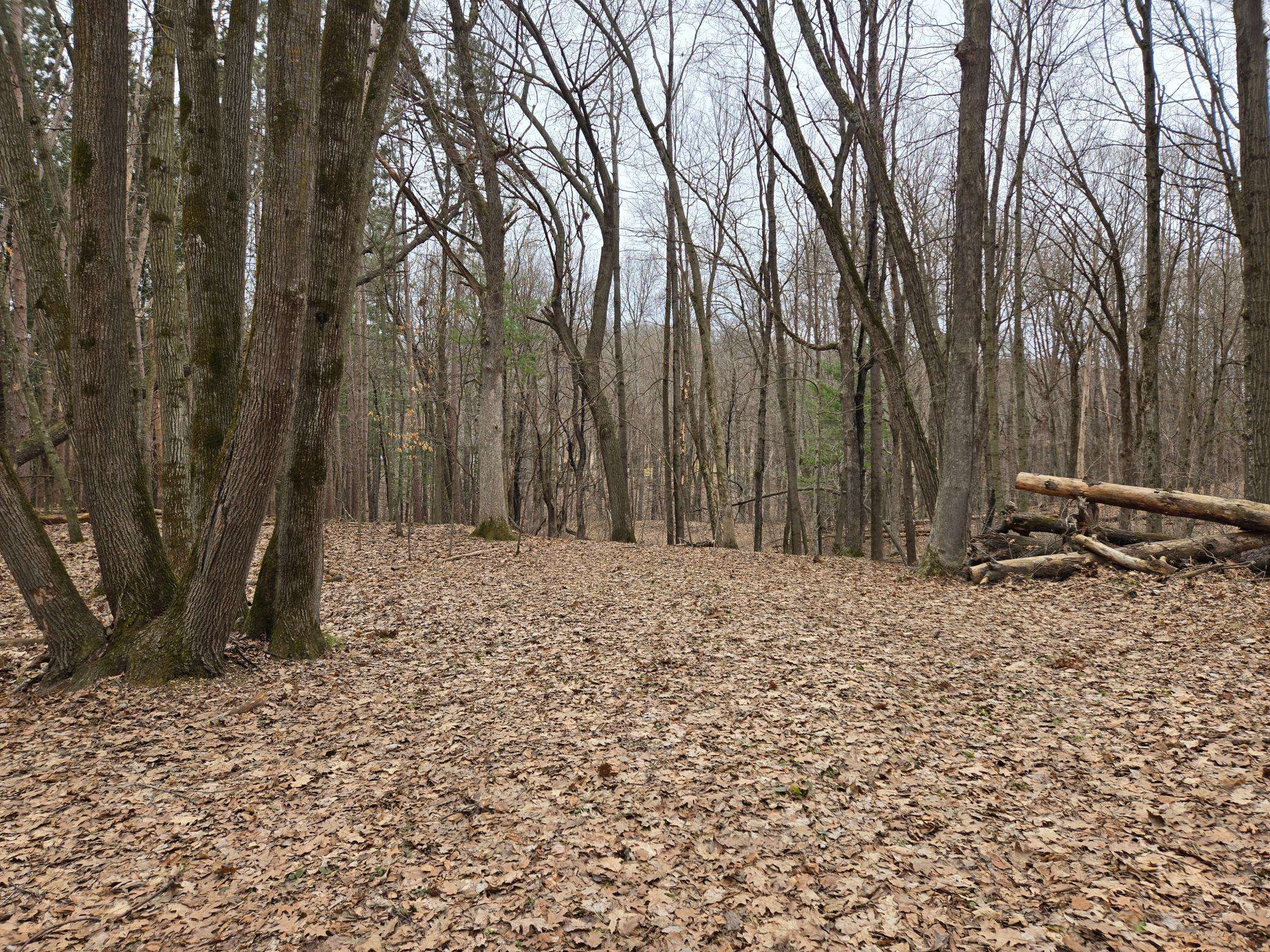 Lot 3 732nd AVE, Menomonie, WI 54751