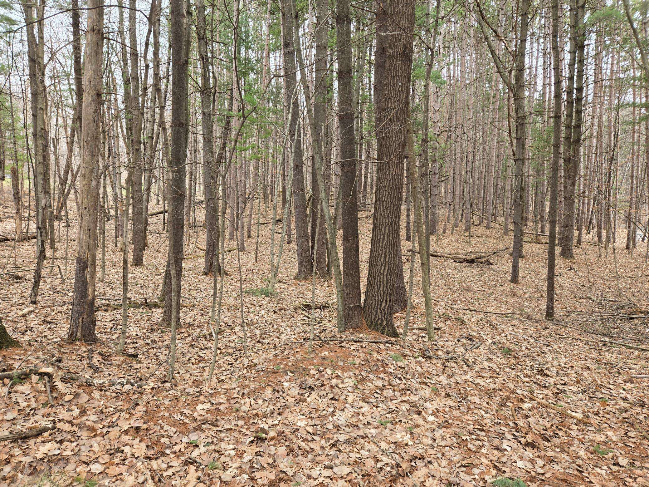 Lot 3 732nd AVE, Menomonie, WI 54751