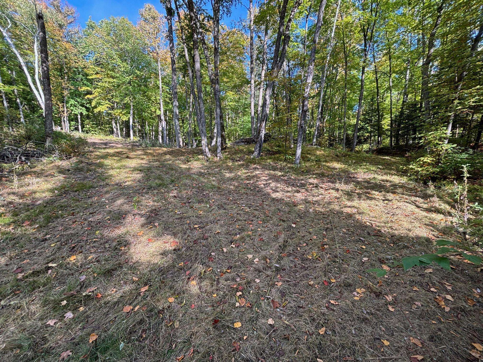 TBD North Sherrys Arm Road, Grand Rapids, MN 55744