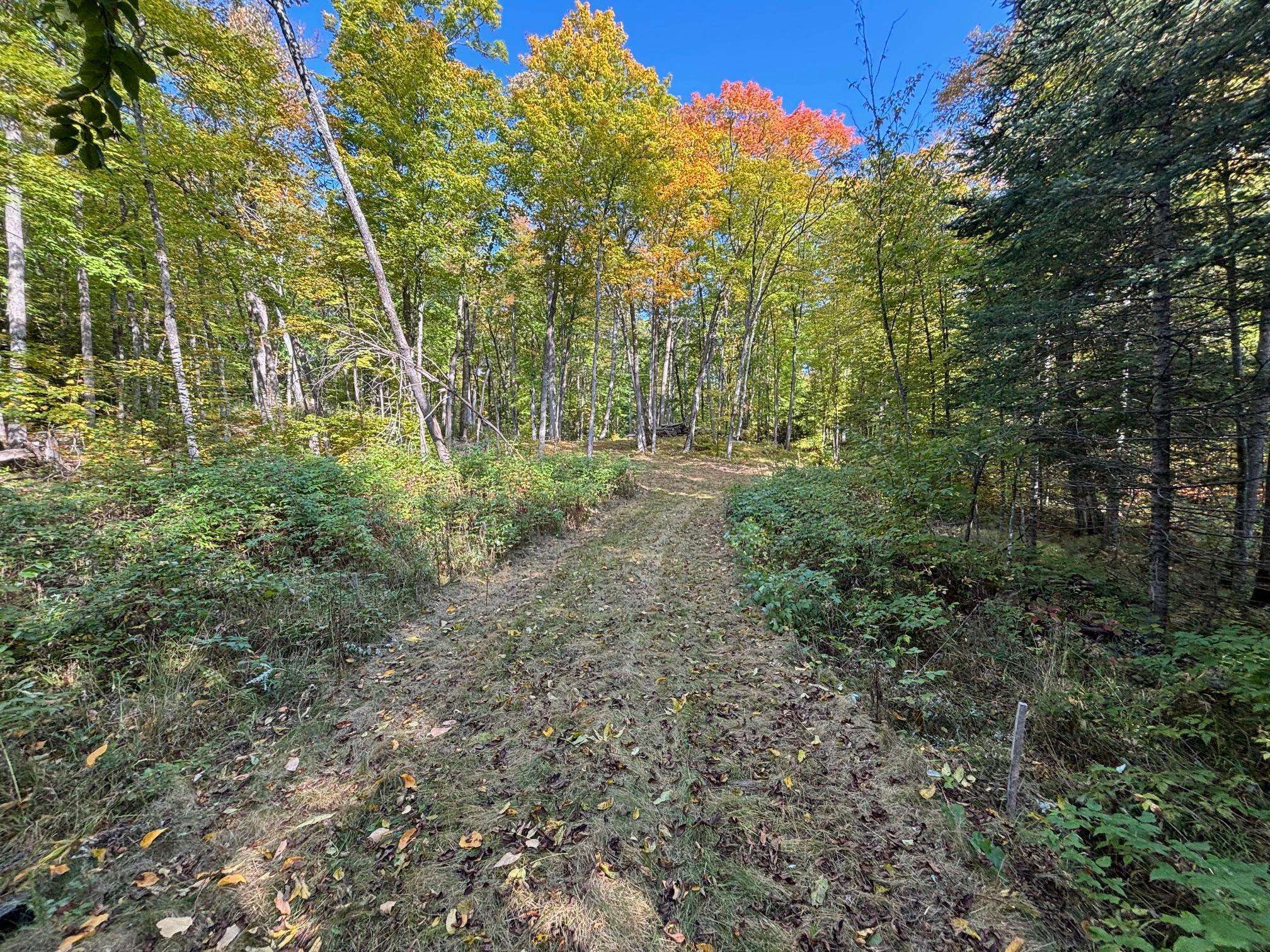 TBD North Sherrys Arm Road, Grand Rapids, MN 55744
