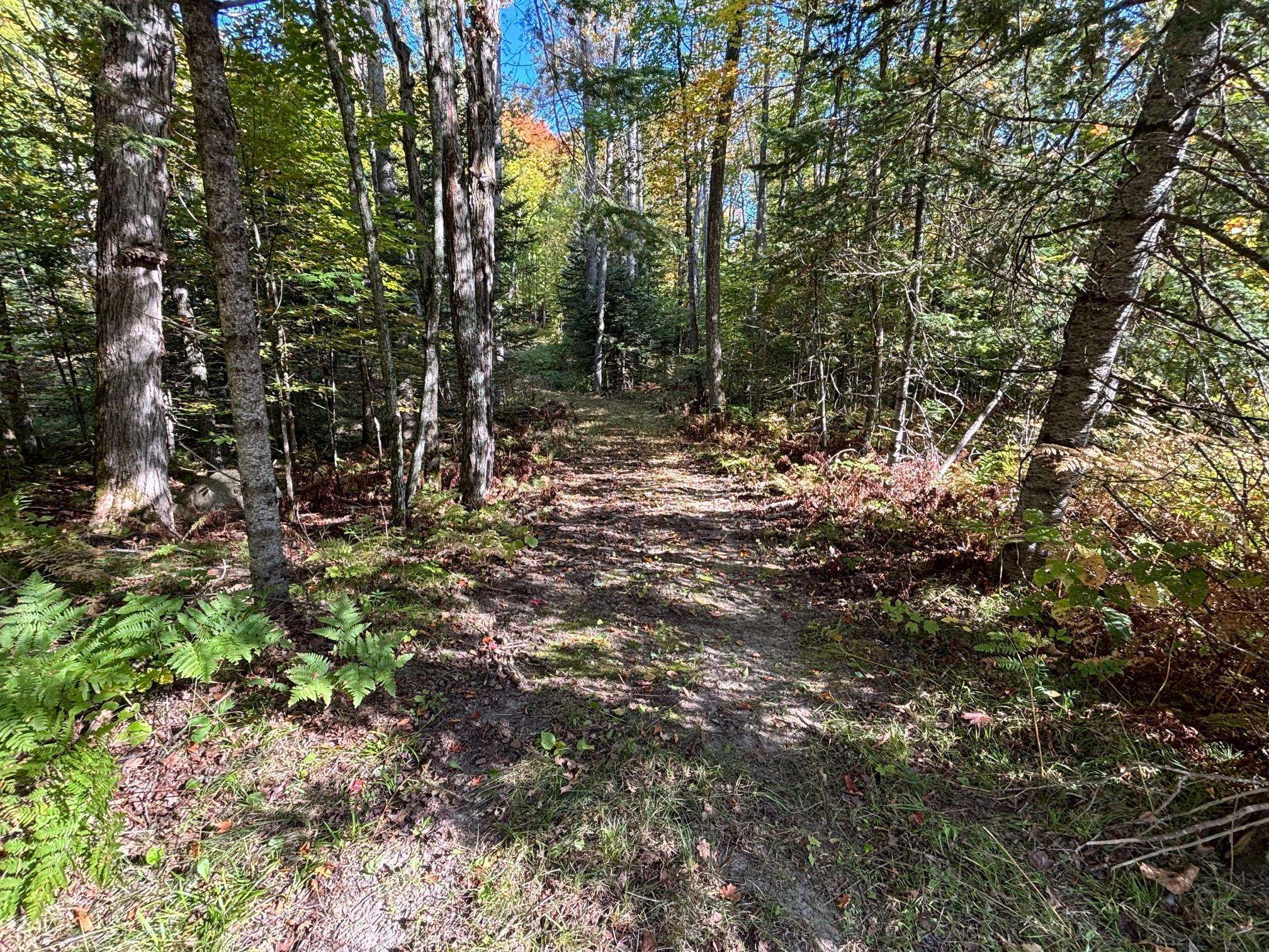 TBD North Sherrys Arm Road, Grand Rapids, MN 55744